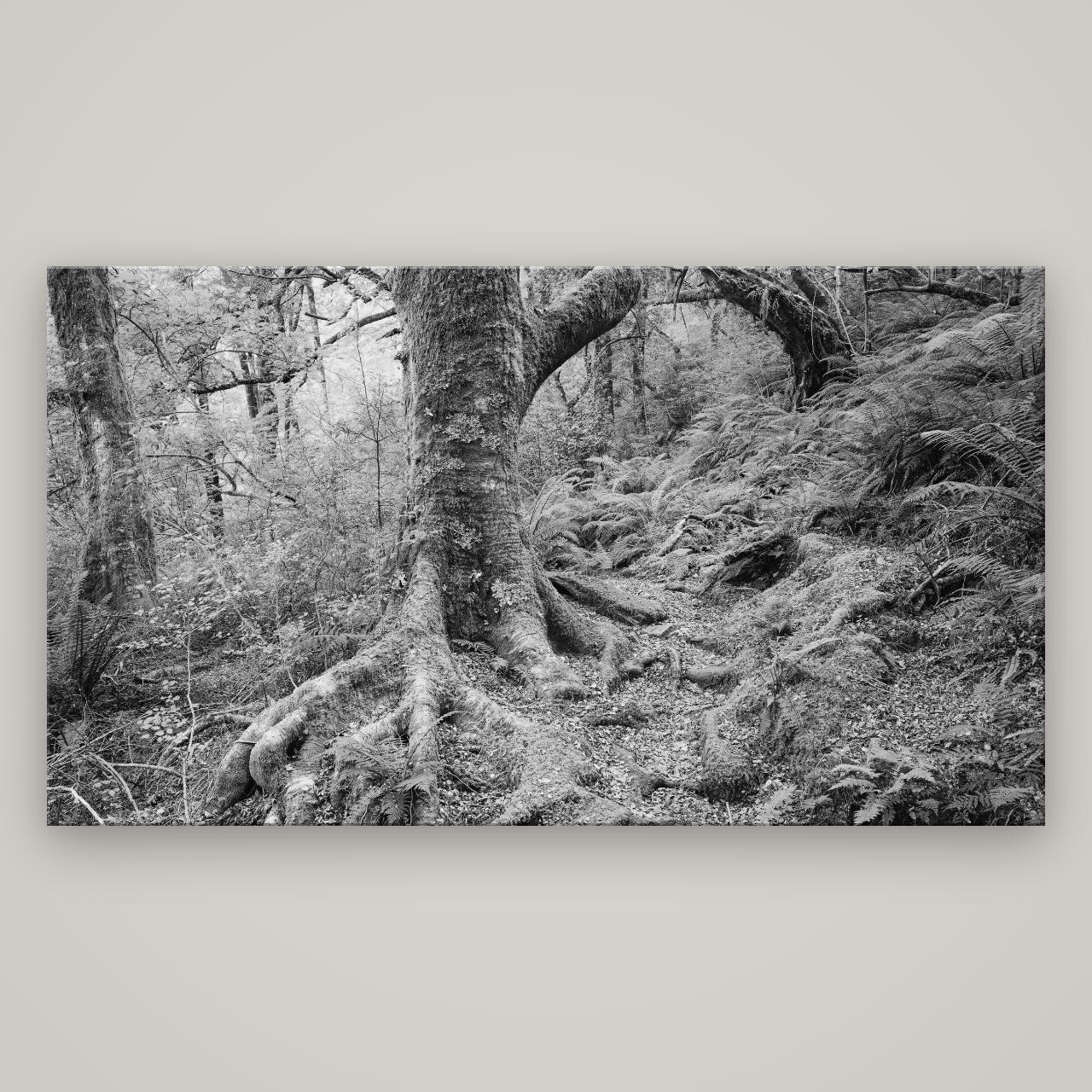 Enchanted Forest Path, Mt. Aspiring National Park — No frame, 196×110 cm. New Zealand fine art wall art by Stephen Milner.