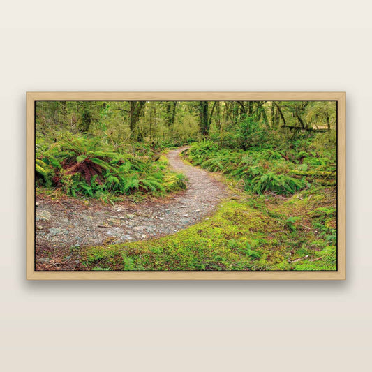 Enchanted Passage, Haast Pass Rainforest — framed metallic canvas print, Natural frame. New Zealand fine art landscape wall art by Stephen Milner.