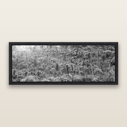 Enchanted Reverie, Tall Ferns' Embrace, black and white framed metallic canvas print, Black frame. New Zealand fine art wall art by Stephen Milner.