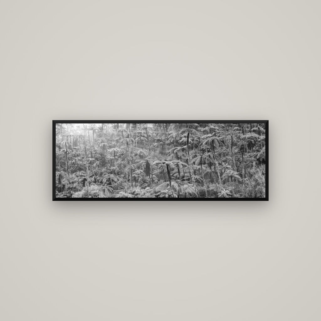 Enchanted Reverie, Tall Ferns' Embrace — Basel Black Matte, 113×40 cm. New Zealand fine art wall art by Stephen Milner.