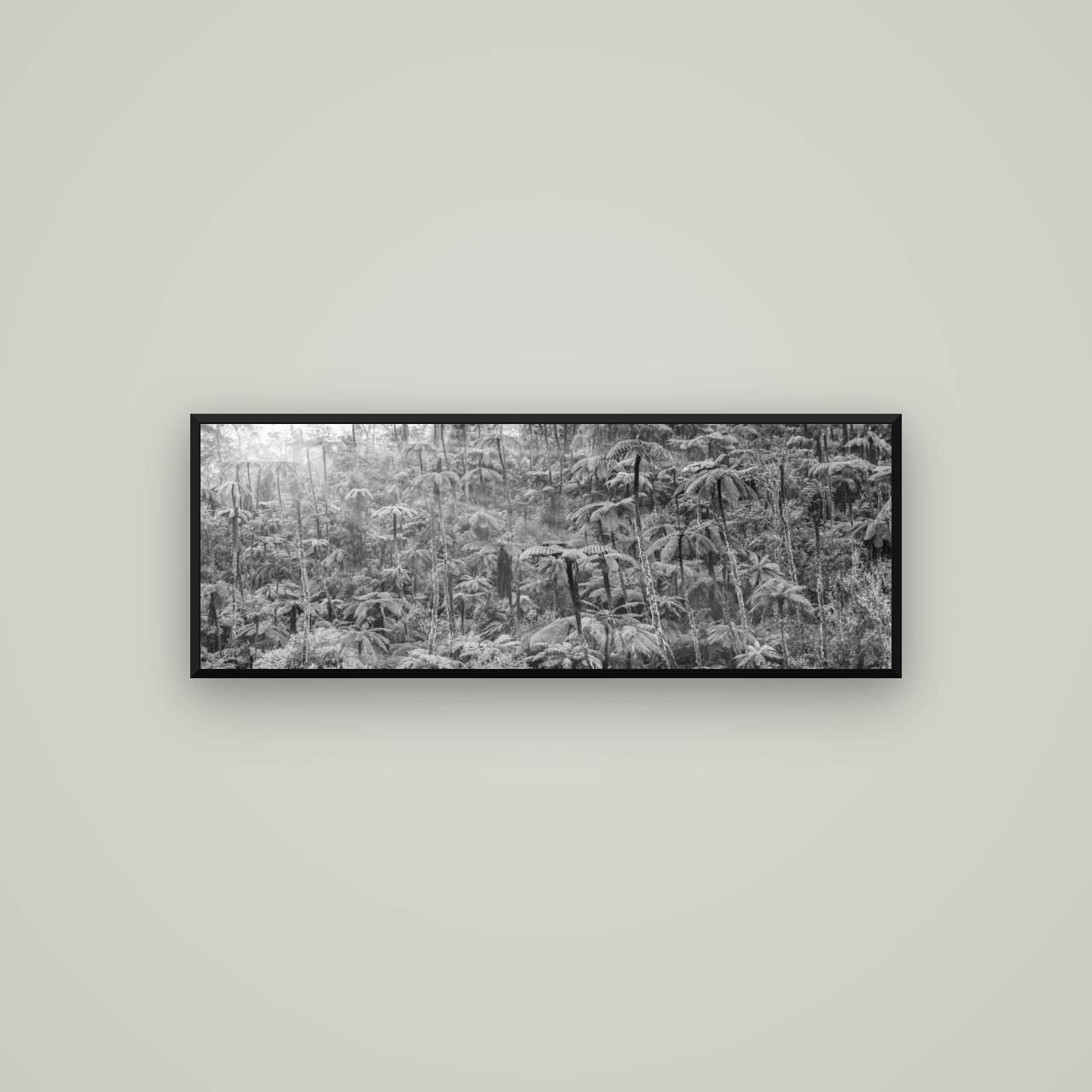 Enchanted Reverie, Tall Ferns' Embrace — Basel Black Matte, 113×40 cm. New Zealand fine art wall art by Stephen Milner.