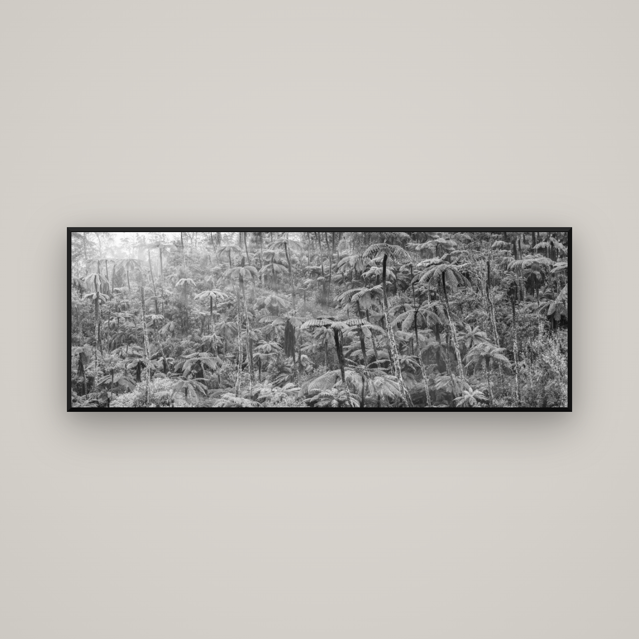 Enchanted Reverie, Tall Ferns' Embrace — Basel Black Matte, 170×60 cm. New Zealand fine art wall art by Stephen Milner.