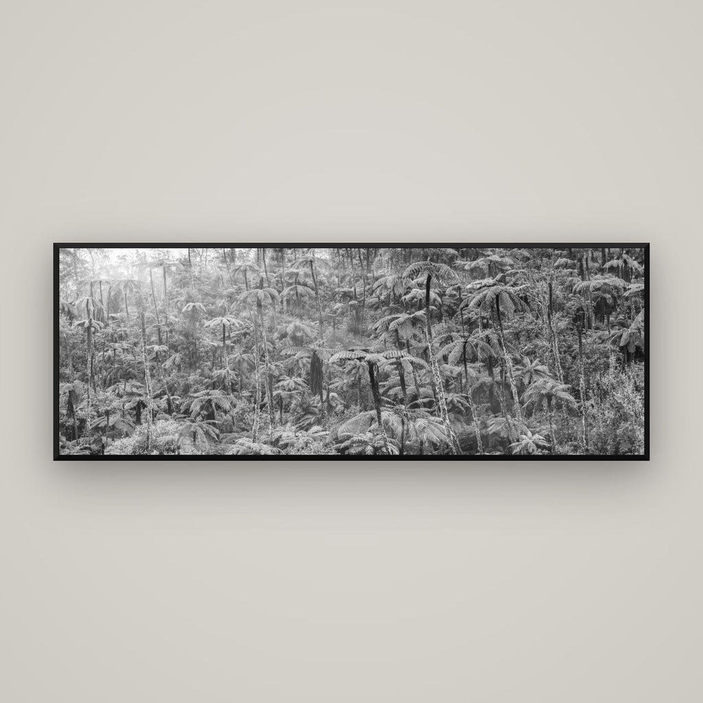 Enchanted Reverie, Tall Ferns' Embrace — Basel Black Matte, 170×60 cm. New Zealand fine art wall art by Stephen Milner.