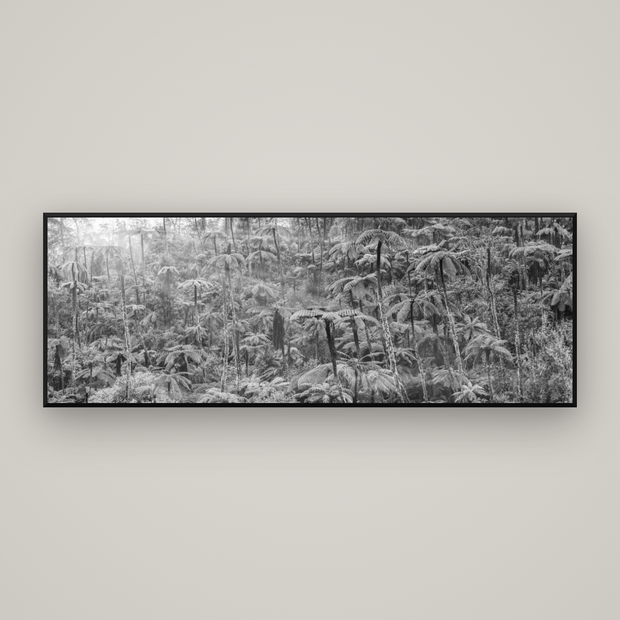 Enchanted Reverie, Tall Ferns' Embrace — Basel Black Matte, 198×70 cm. New Zealand fine art wall art by Stephen Milner.