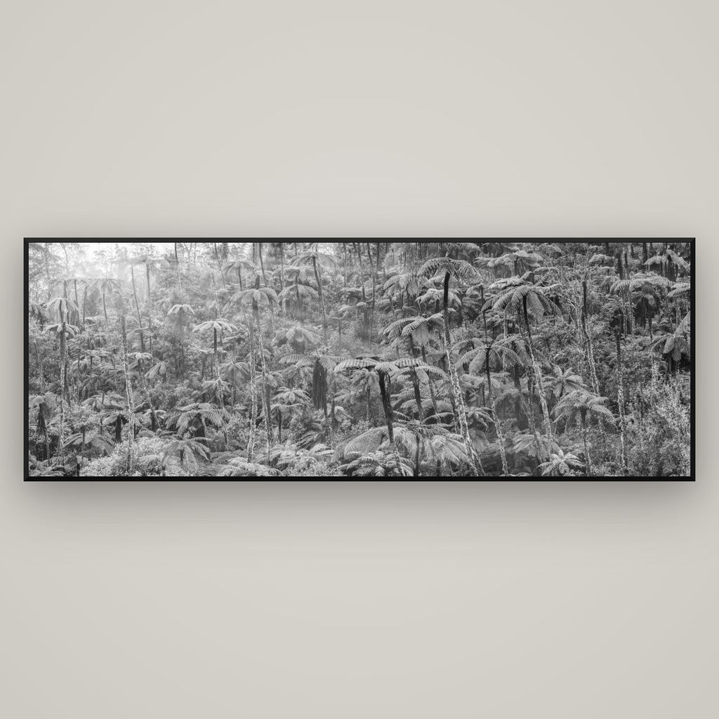 Enchanted Reverie, Tall Ferns' Embrace — Basel Black Matte, 198×70 cm. New Zealand fine art wall art by Stephen Milner.