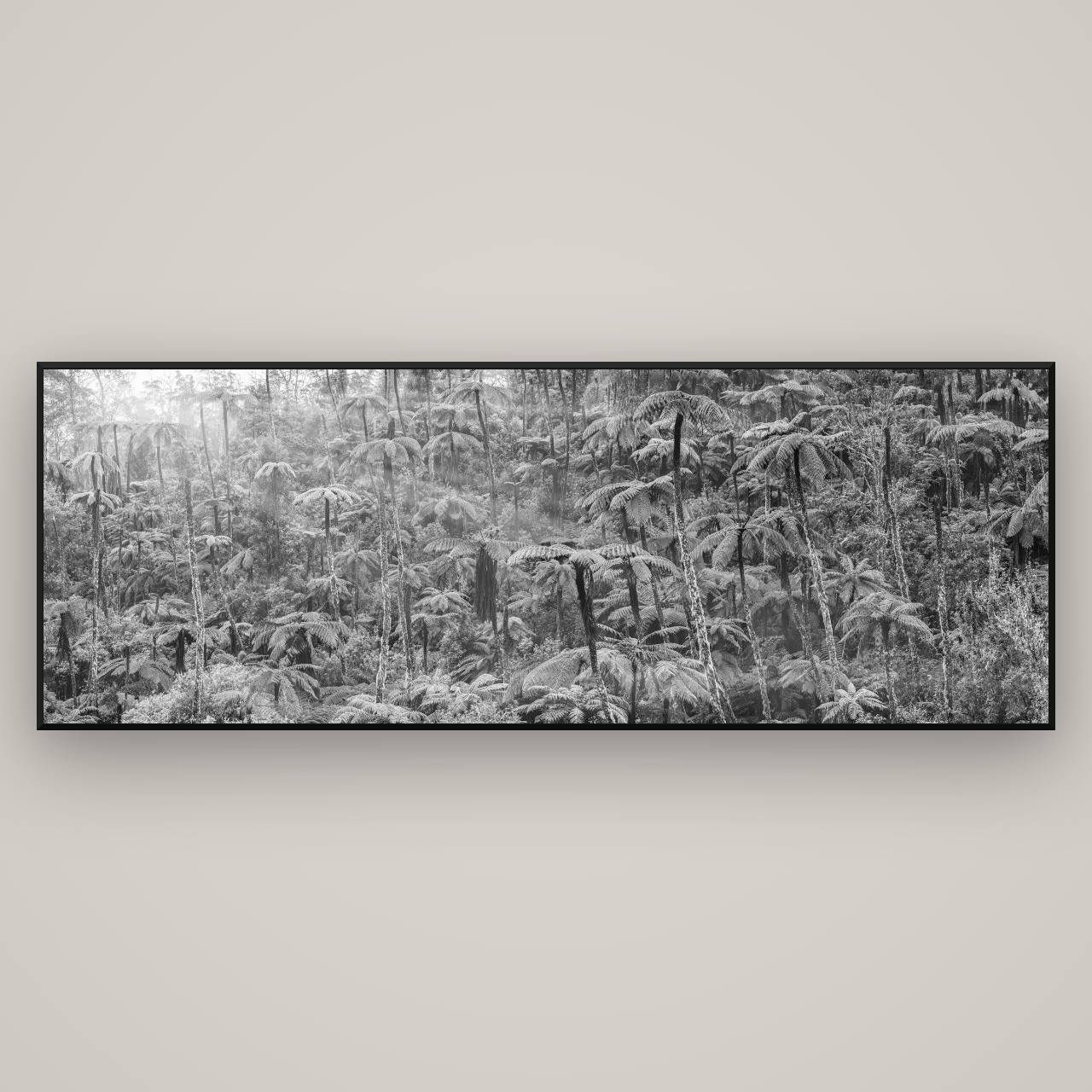 Enchanted Reverie, Tall Ferns' Embrace — Basel Black Matte, 227×80 cm. New Zealand fine art wall art by Stephen Milner.