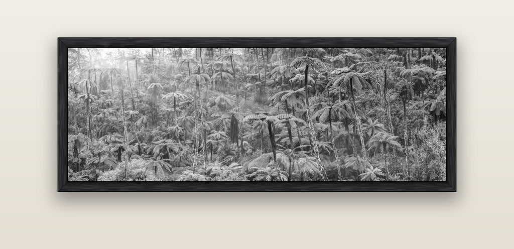 Enchanted Reverie, Tall Ferns' Embrace — black float frame canvas, 152 × 56 cm. New Zealand fine art landscape wall art by Stephen Milner.