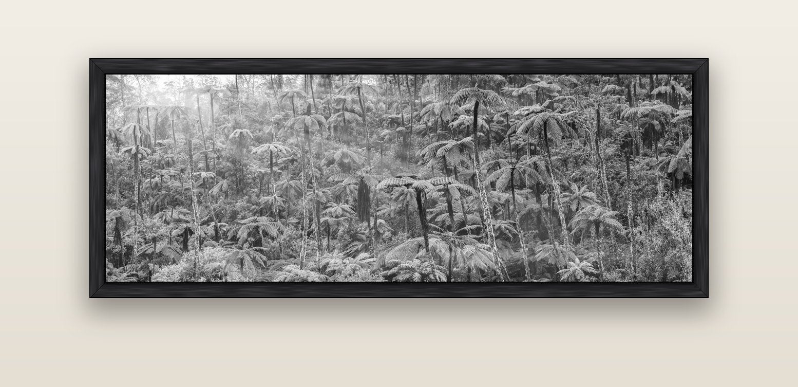 Enchanted Reverie, Tall Ferns' Embrace — black float frame canvas, 152 × 56 cm. New Zealand fine art landscape wall art by Stephen Milner.
