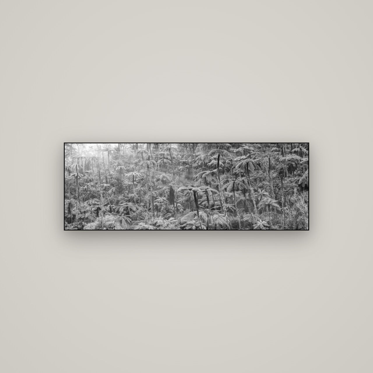 Enchanted Reverie, Tall Ferns' Embrace — Slimline Black, 113×40 cm. New Zealand fine art wall art by Stephen Milner.