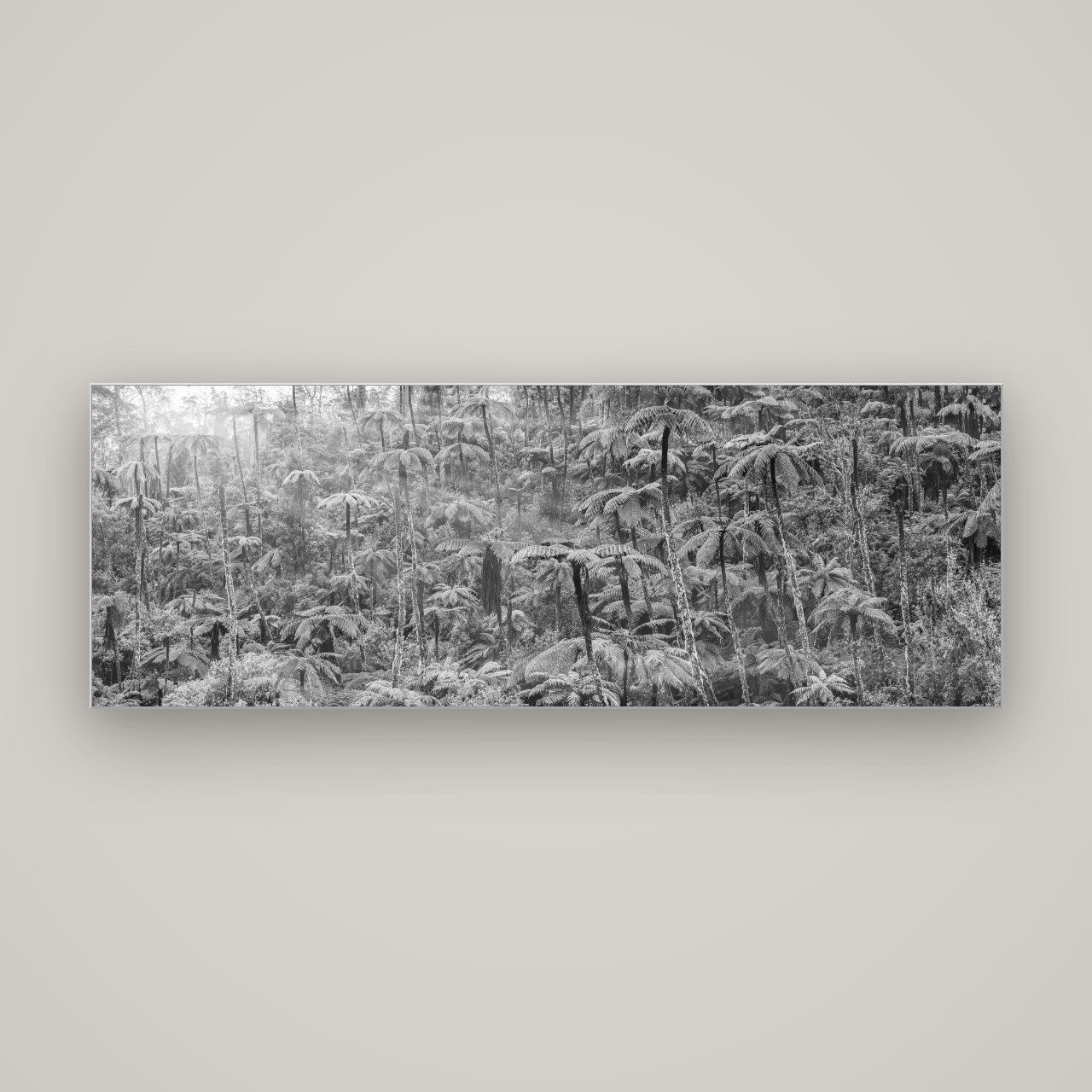 Enchanted Reverie, Tall Ferns' Embrace — Slimline Silver, 170×60 cm. New Zealand fine art wall art by Stephen Milner.