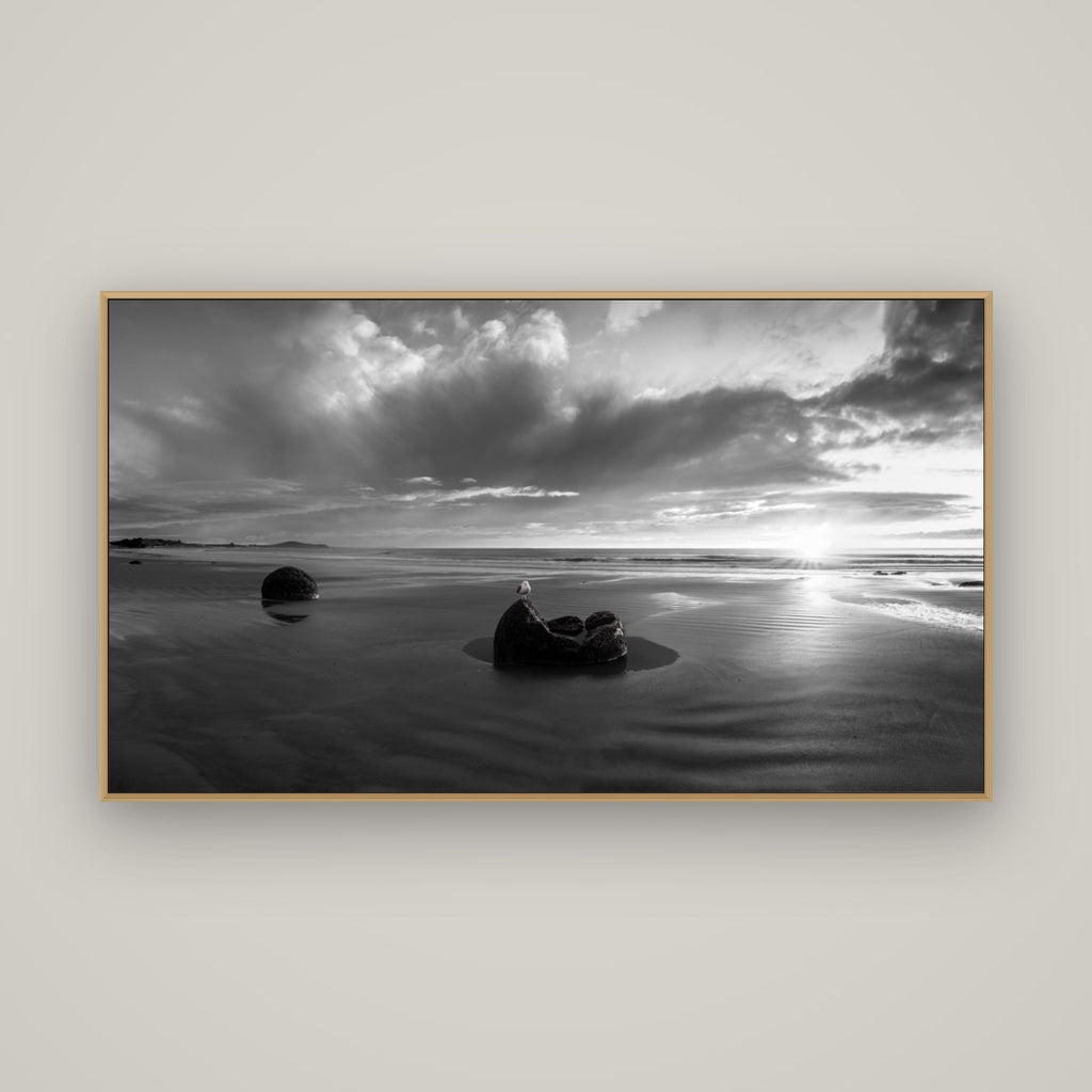 Eternal Guardians, Moeraki Boulders, Basel Natural Oak, 160×90 cm. New Zealand fine art wall art by Stephen Milner.