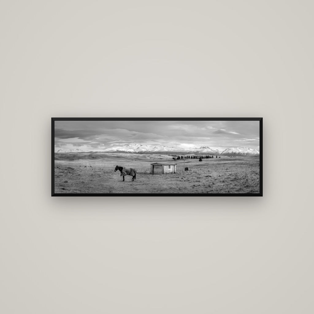 Ethereal Morning, Ben Ohau's Awakening — Basel Black Matte, 113×40 cm. New Zealand fine art wall art by Stephen Milner.