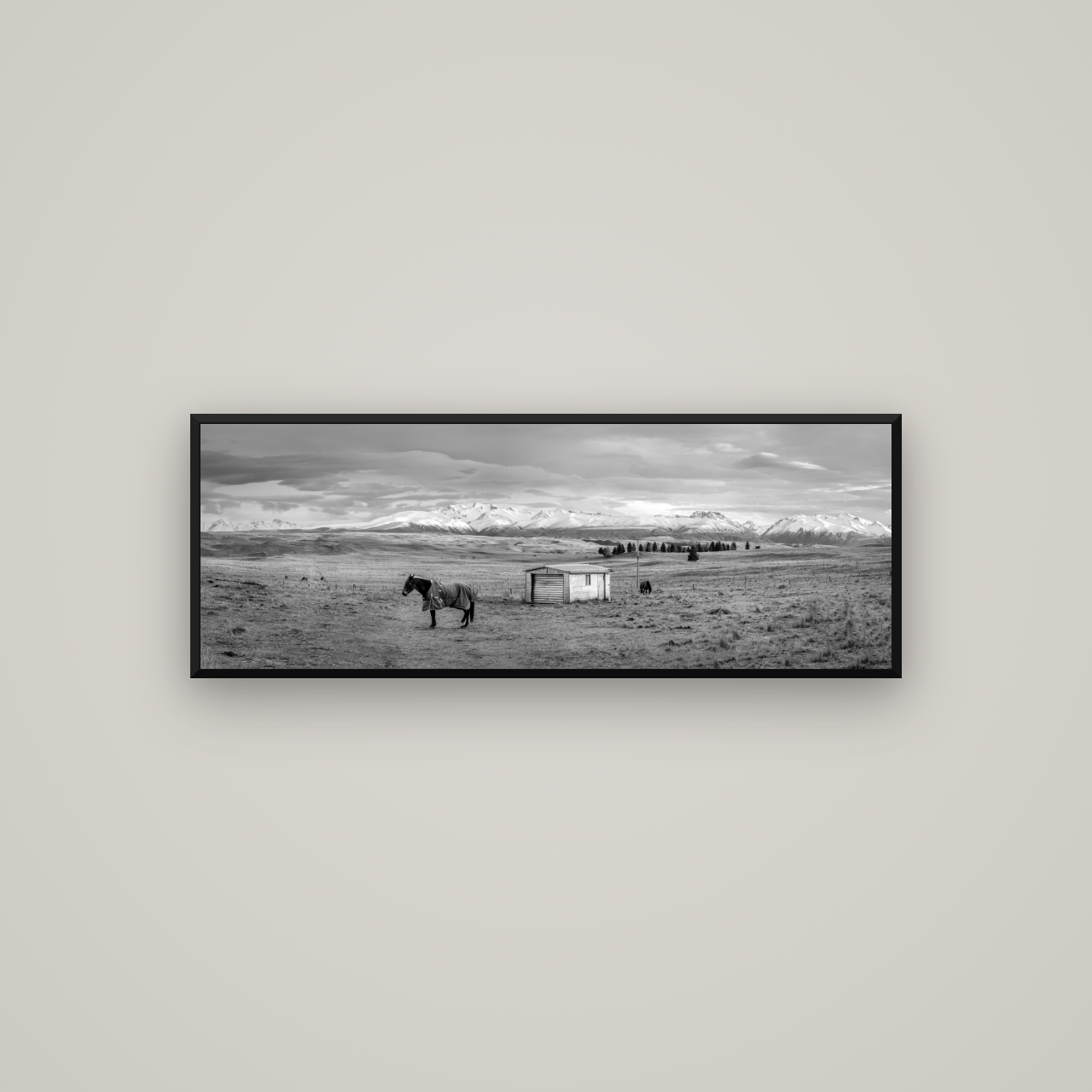 Ethereal Morning, Ben Ohau's Awakening — Basel Black Matte, 113×40 cm. New Zealand fine art wall art by Stephen Milner.