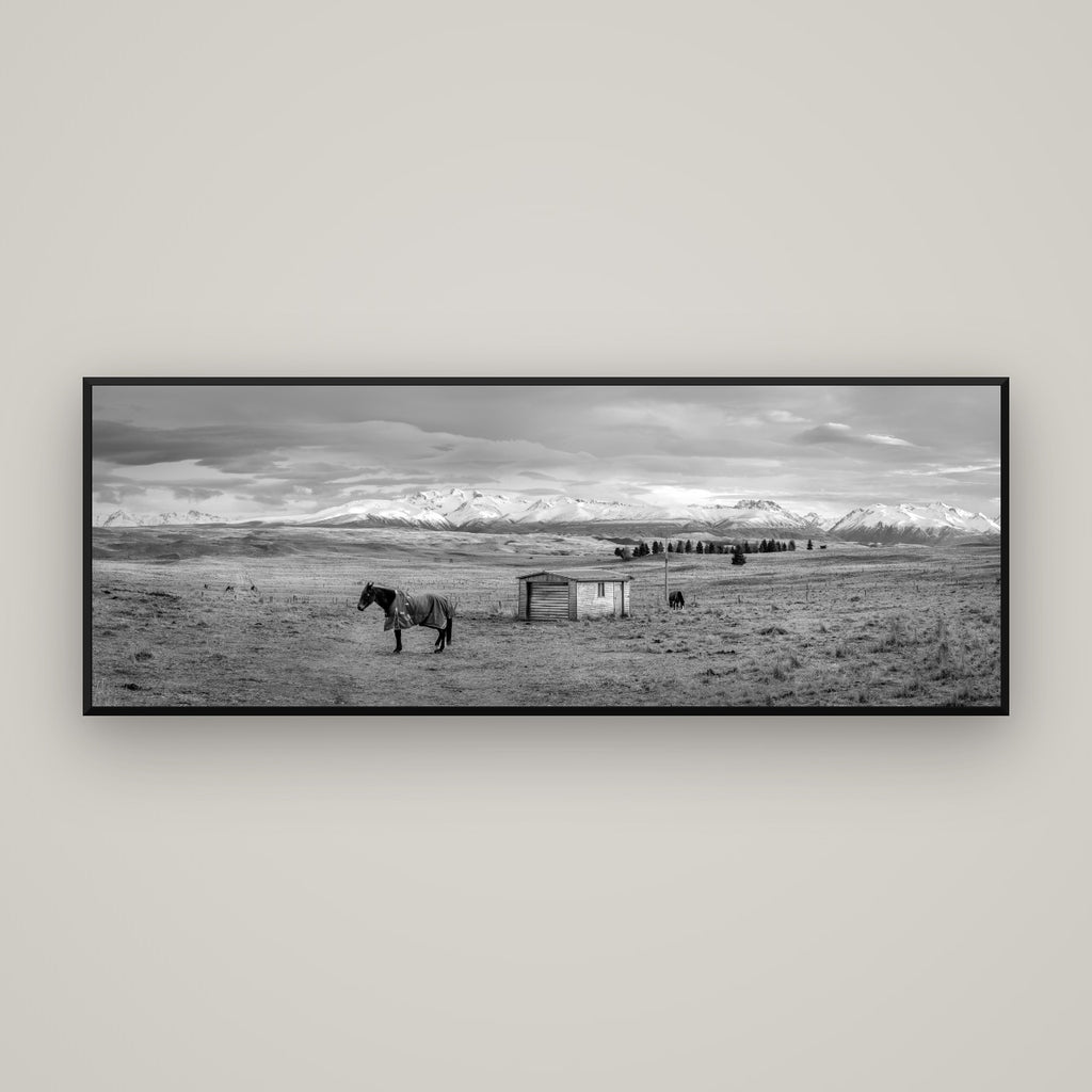 Ethereal Morning, Ben Ohau's Awakening — Basel Black Matte, 170×60 cm. New Zealand fine art wall art by Stephen Milner.