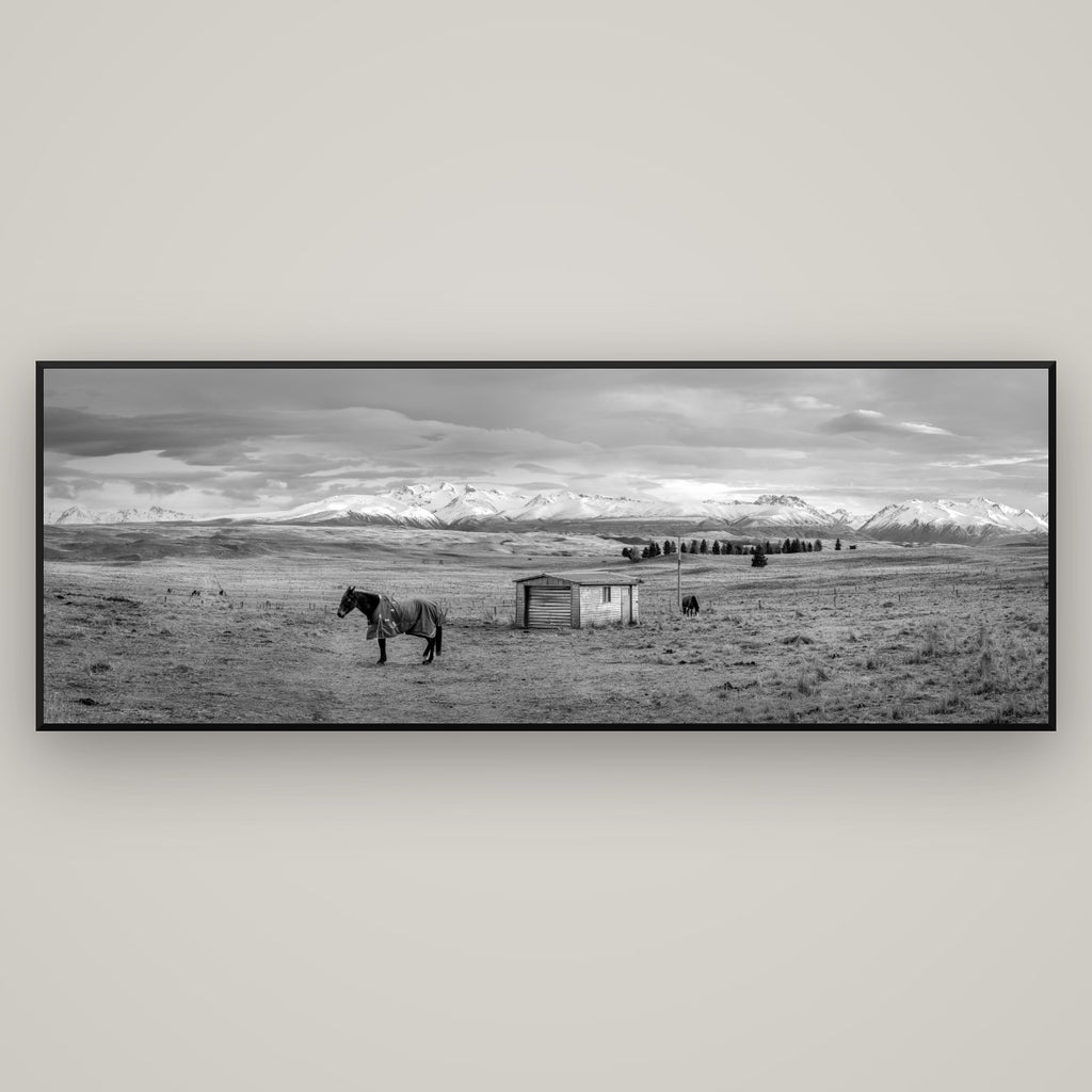Ethereal Morning, Ben Ohau's Awakening — Basel Black Matte, 198×70 cm. New Zealand fine art wall art by Stephen Milner.