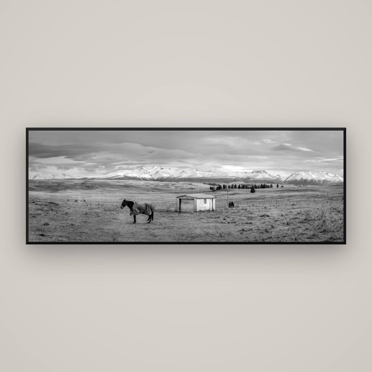 Ethereal Morning, Ben Ohau's Awakening — Basel Black Matte, 198×70 cm. New Zealand fine art wall art by Stephen Milner.
