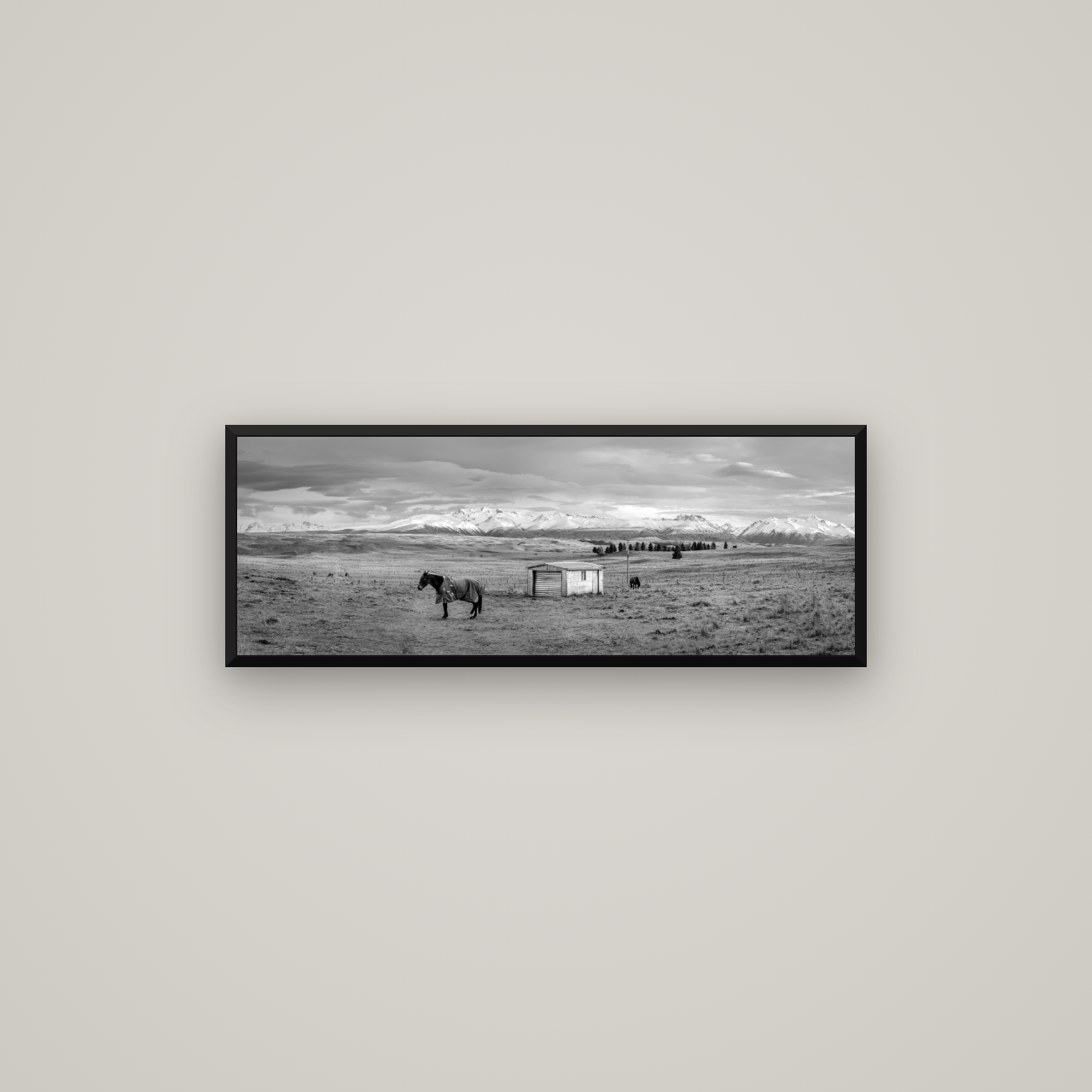 Ethereal Morning, Ben Ohau's Awakening — Basel Black Matte, 85×30 cm. New Zealand fine art wall art by Stephen Milner.