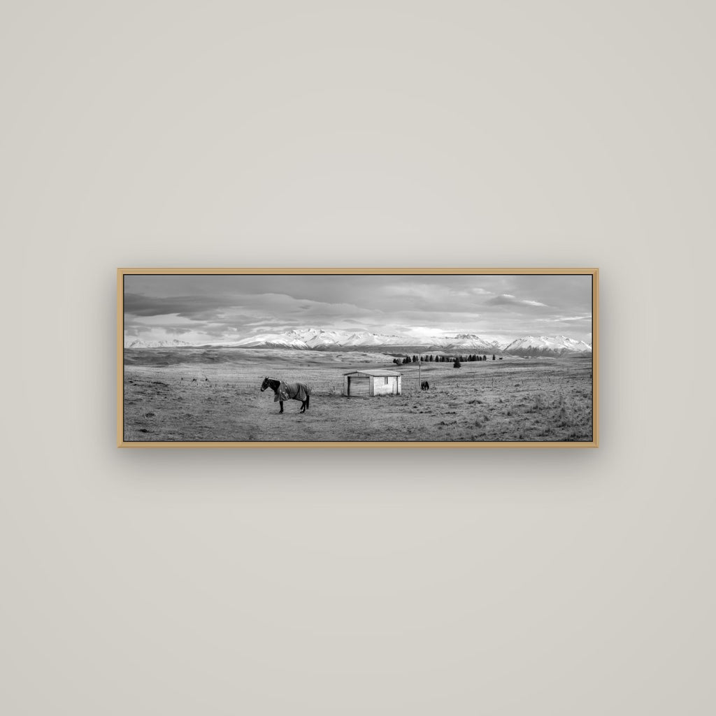 Ethereal Morning, Ben Ohau's Awakening, Basel Natural Oak, 113×40 cm. New Zealand fine art wall art by Stephen Milner.