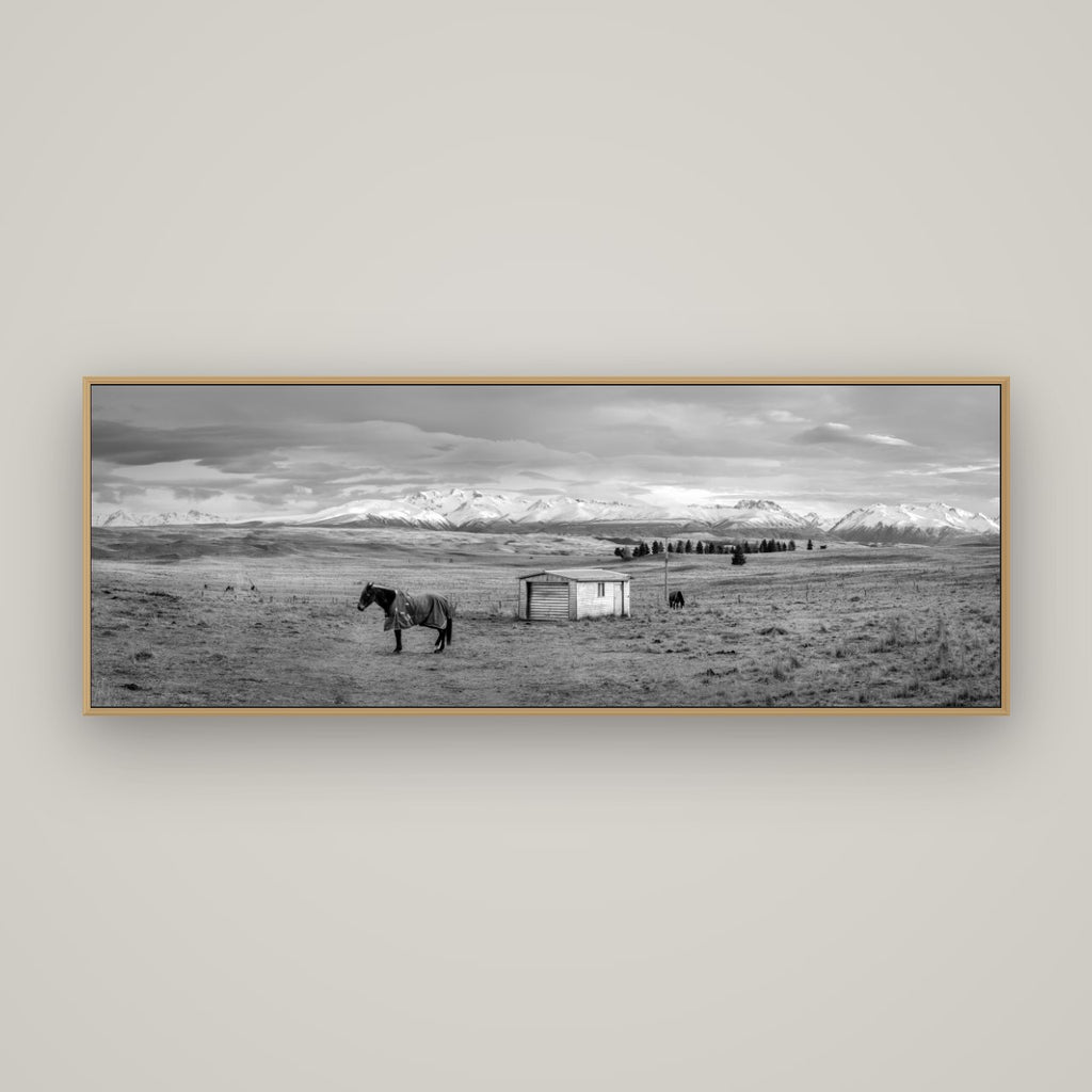 Ethereal Morning, Ben Ohau's Awakening, Basel Natural Oak, 170×60 cm. New Zealand fine art wall art by Stephen Milner.