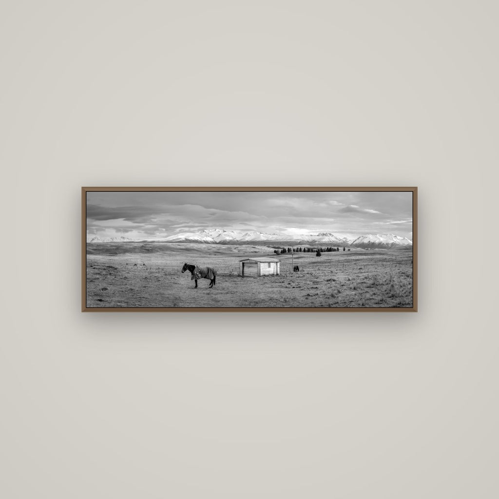 Ethereal Morning, Ben Ohau's Awakening, Basel Walnut, 113×40 cm. New Zealand fine art wall art by Stephen Milner.