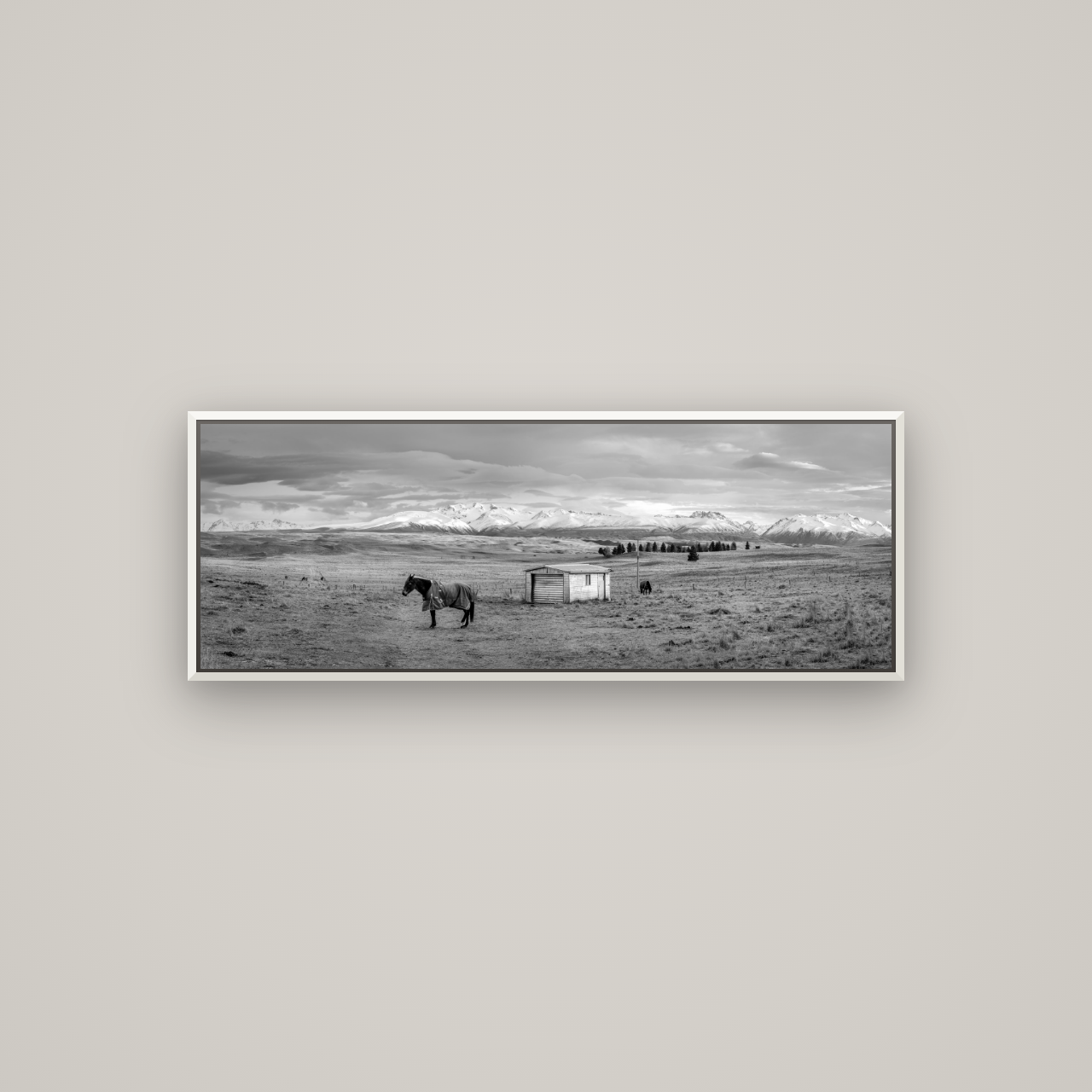 Ethereal Morning, Ben Ohau's Awakening — Basel White, 113×40 cm. New Zealand fine art wall art by Stephen Milner.