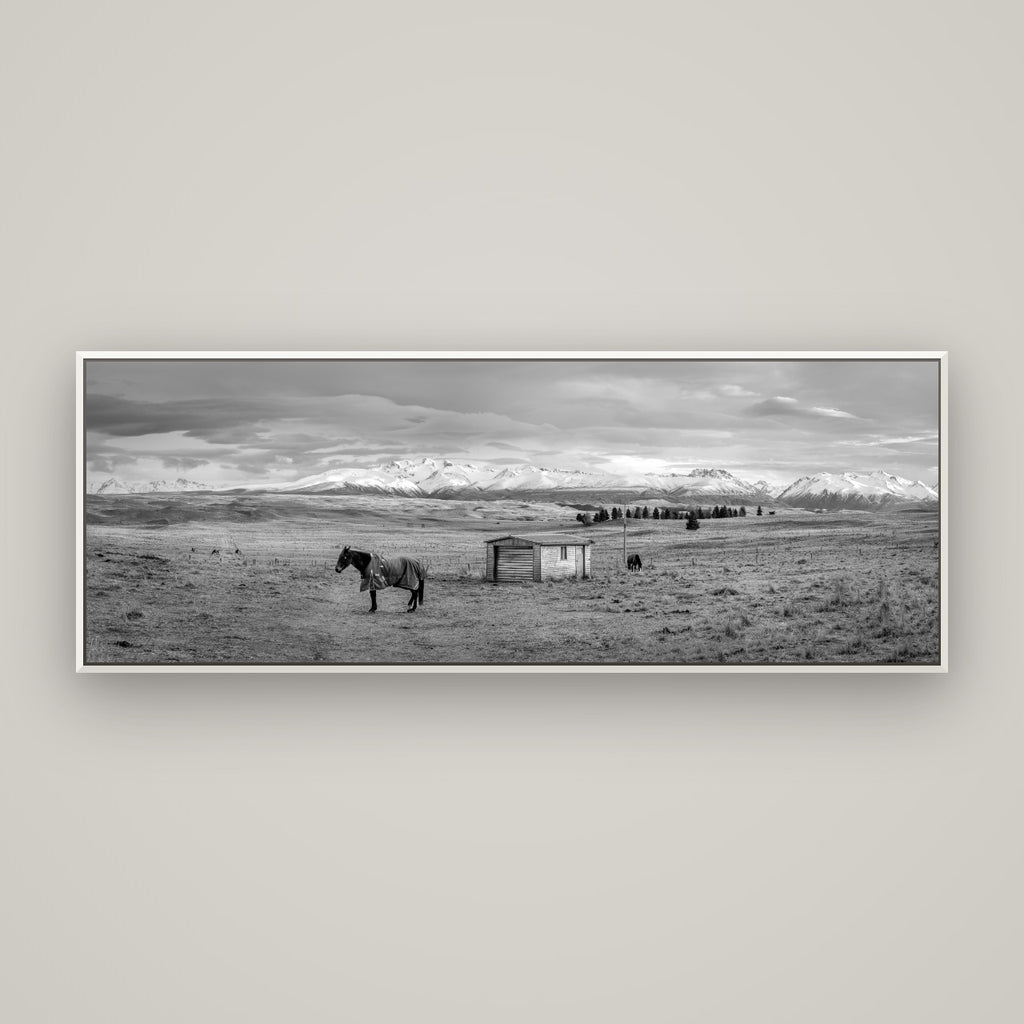 Ethereal Morning, Ben Ohau's Awakening — Basel White, 170×60 cm. New Zealand fine art wall art by Stephen Milner.