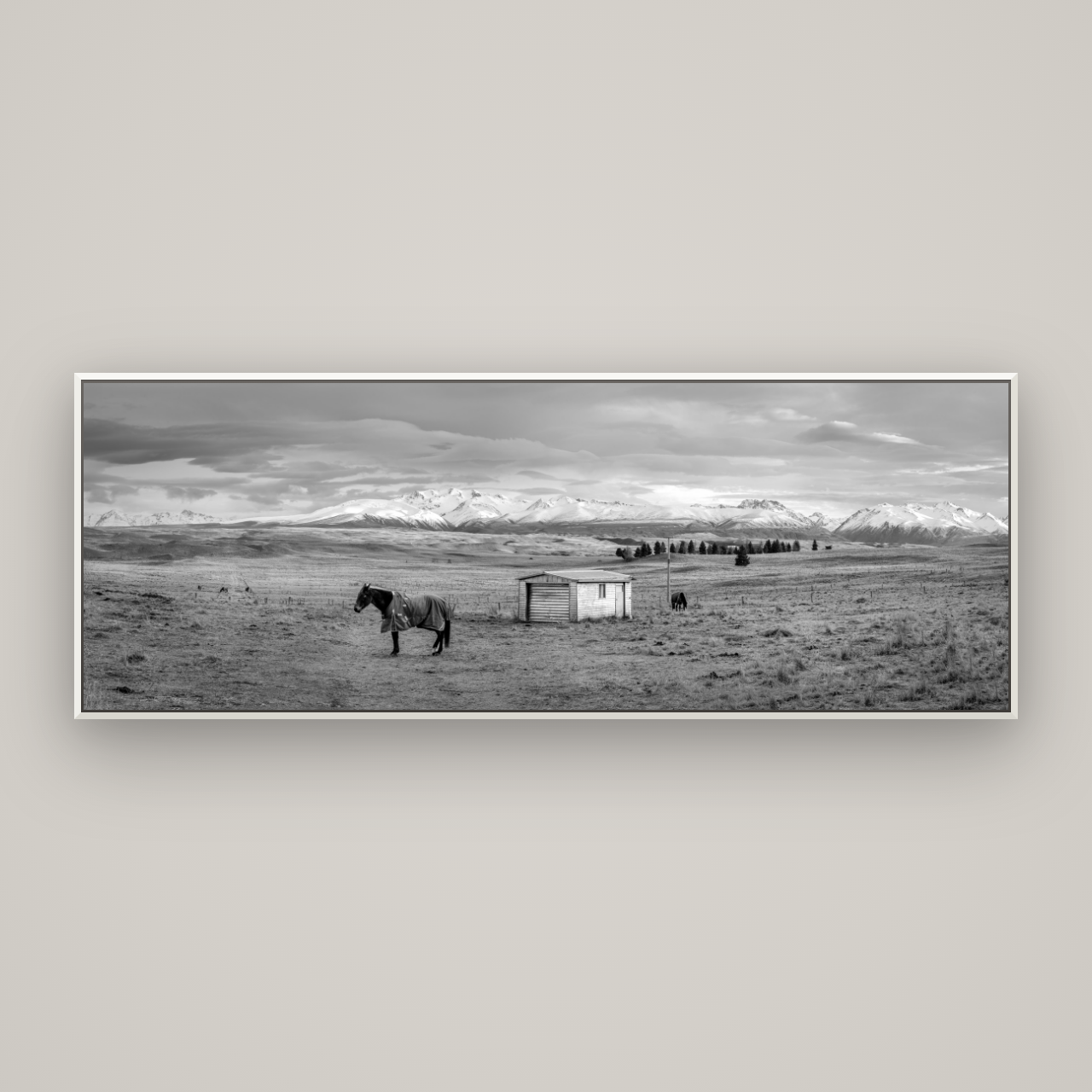Ethereal Morning, Ben Ohau's Awakening — Basel White, 198×70 cm. New Zealand fine art wall art by Stephen Milner.