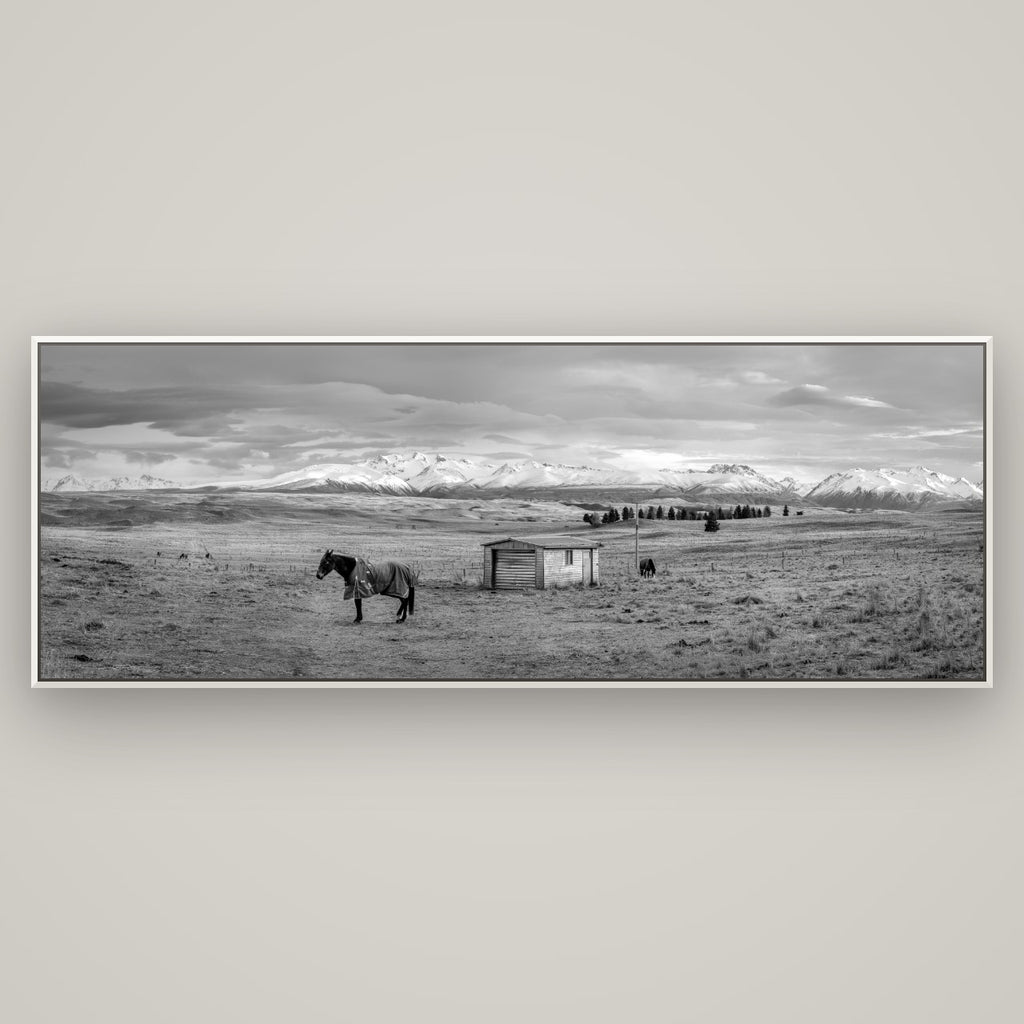 Ethereal Morning, Ben Ohau's Awakening — Basel White, 198×70 cm. New Zealand fine art wall art by Stephen Milner.