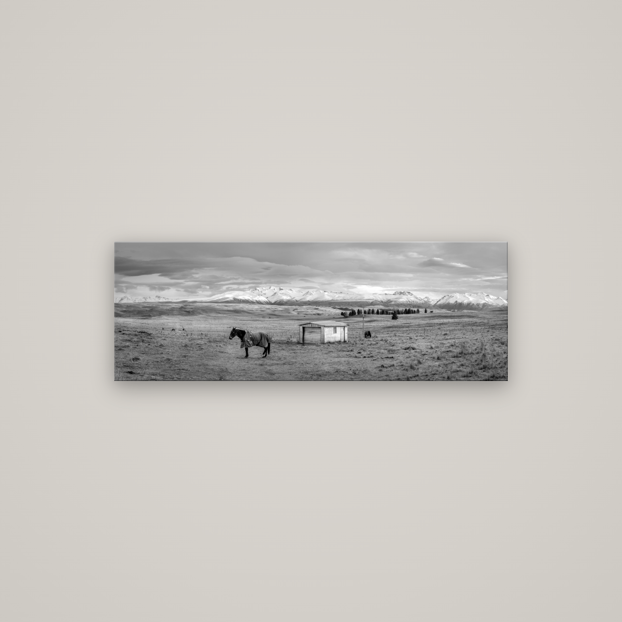 Ethereal Morning, Ben Ohau's Awakening — No frame, 113×40 cm. New Zealand fine art wall art by Stephen Milner.