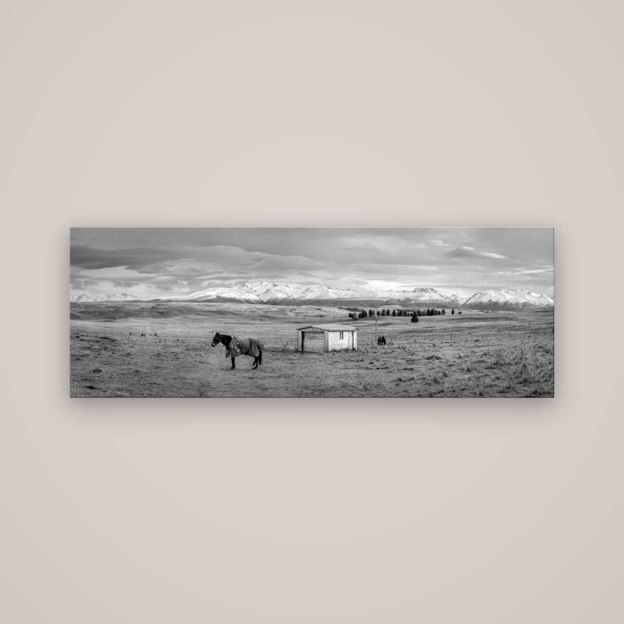 Ethereal Morning, Ben Ohau's Awakening — No frame, 170×60 cm. New Zealand fine art wall art by Stephen Milner.