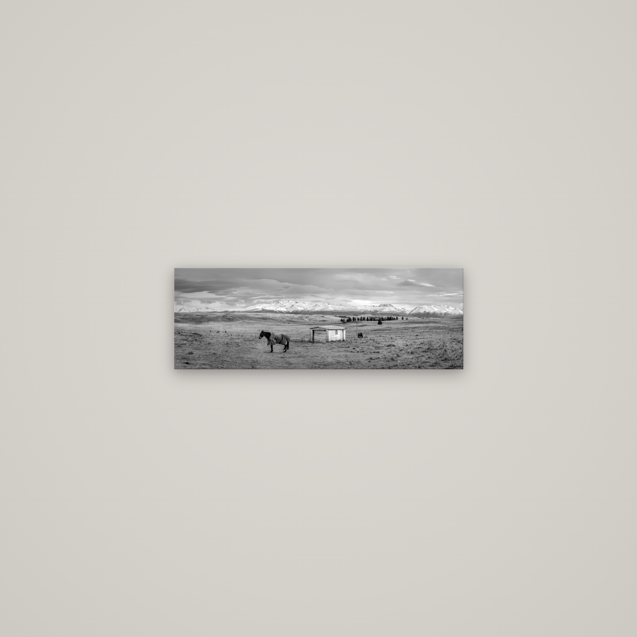 Ethereal Morning, Ben Ohau's Awakening — No frame, 57×20 cm. New Zealand fine art wall art by Stephen Milner.