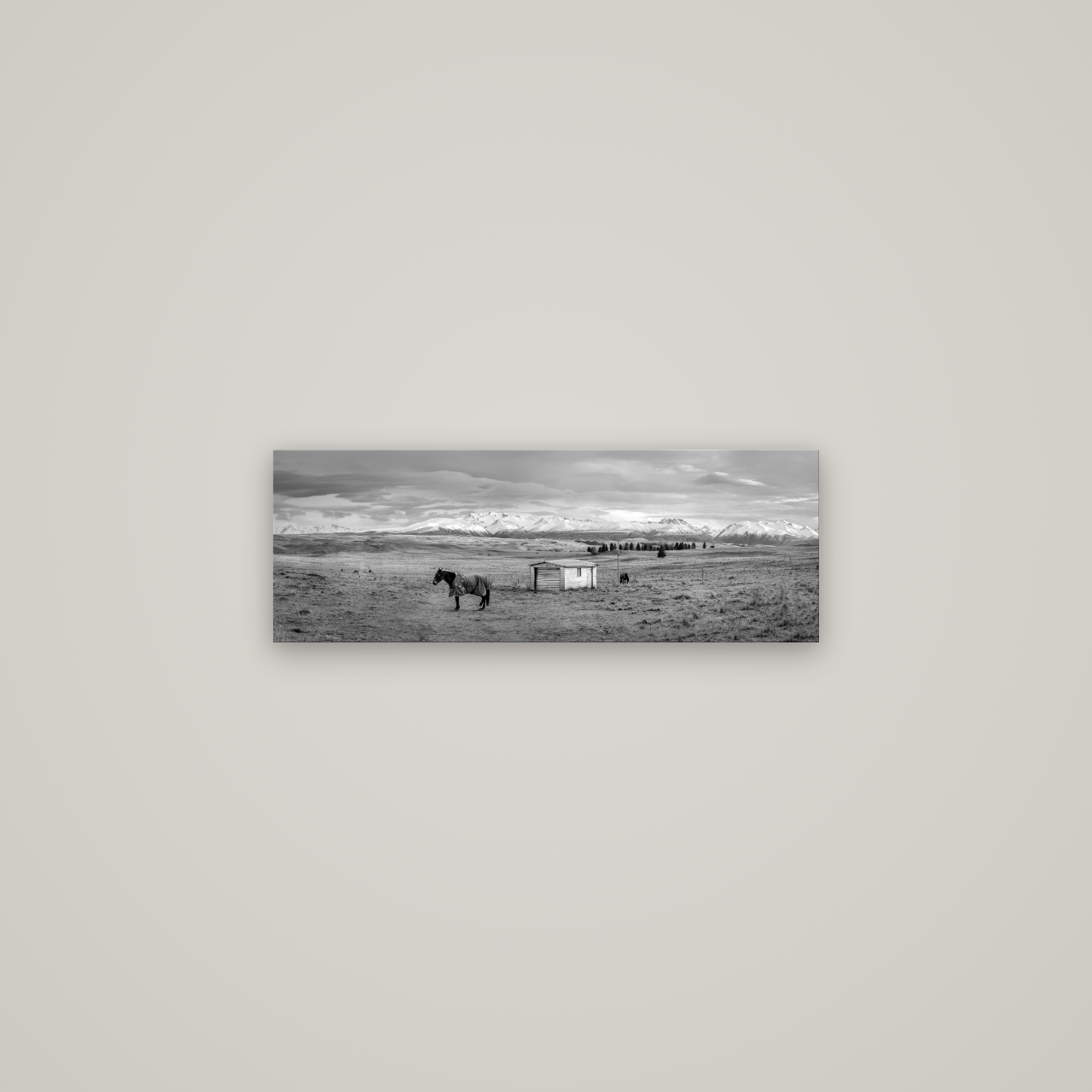 Ethereal Morning, Ben Ohau's Awakening — No frame, 68×24 cm. New Zealand fine art wall art by Stephen Milner.