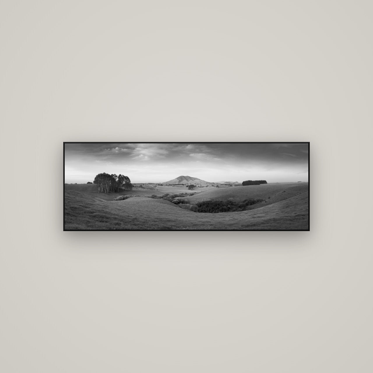 Evening Fields, Mount Kakepuku — ArtBox Black, 113×40 cm. New Zealand fine art wall art by Stephen Milner.