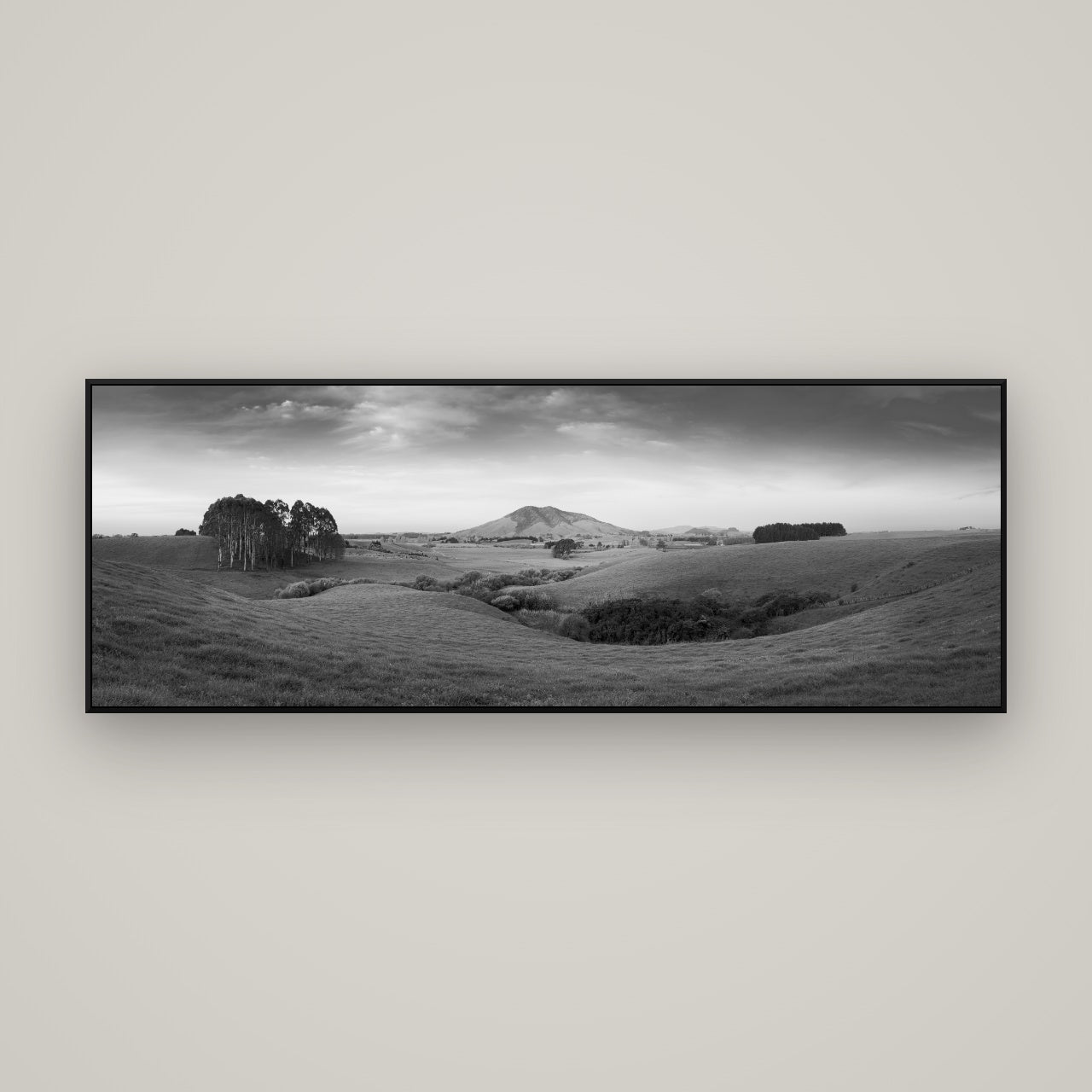 Evening Fields, Mount Kakepuku — ArtBox Black, 170×60 cm. New Zealand fine art wall art by Stephen Milner.