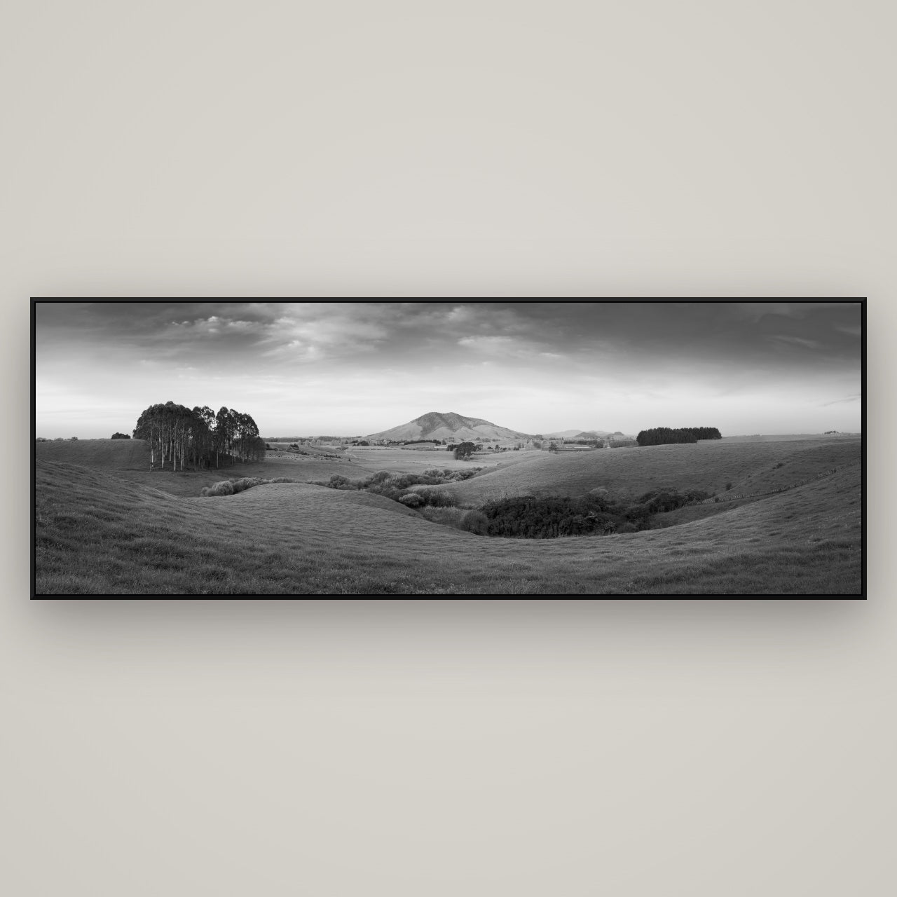 Evening Fields, Mount Kakepuku — ArtBox Black, 198×70 cm. New Zealand fine art wall art by Stephen Milner.