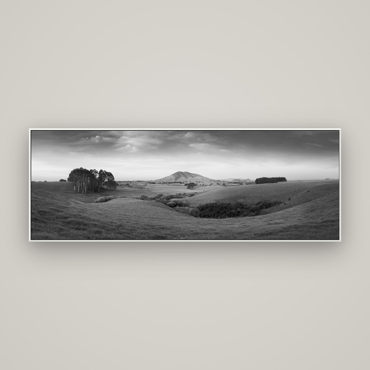 Evening Fields, Mount Kakepuku — ArtBox White, 170×60 cm. New Zealand fine art wall art by Stephen Milner.