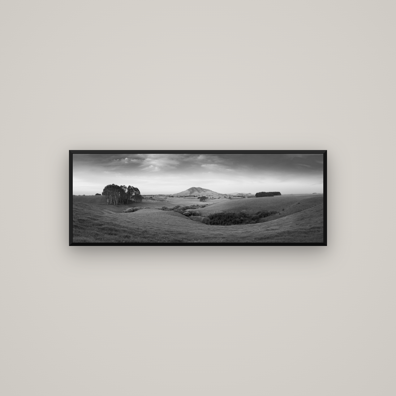 Evening Fields, Mount Kakepuku — Basel Black Matte, 113×40 cm. New Zealand fine art wall art by Stephen Milner.