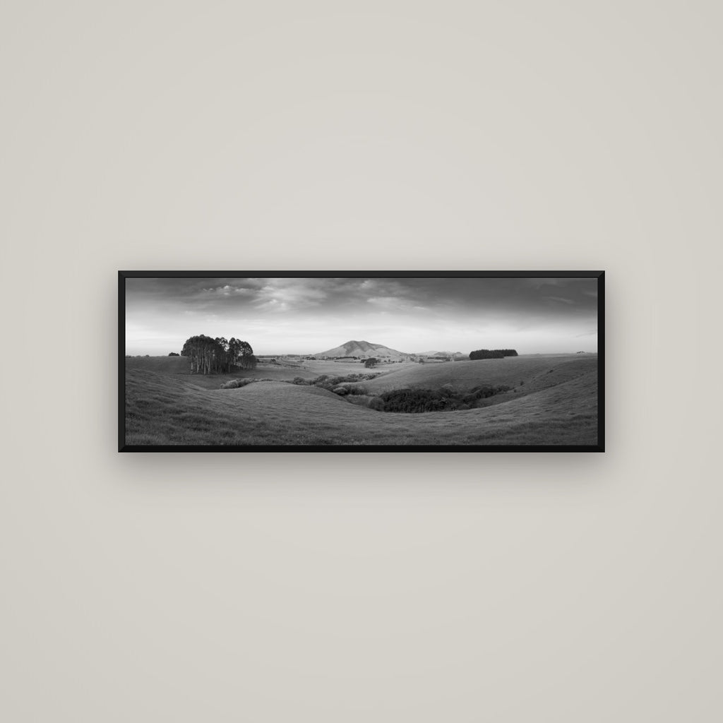 Evening Fields, Mount Kakepuku — Basel Black Matte, 113×40 cm. New Zealand fine art wall art by Stephen Milner.