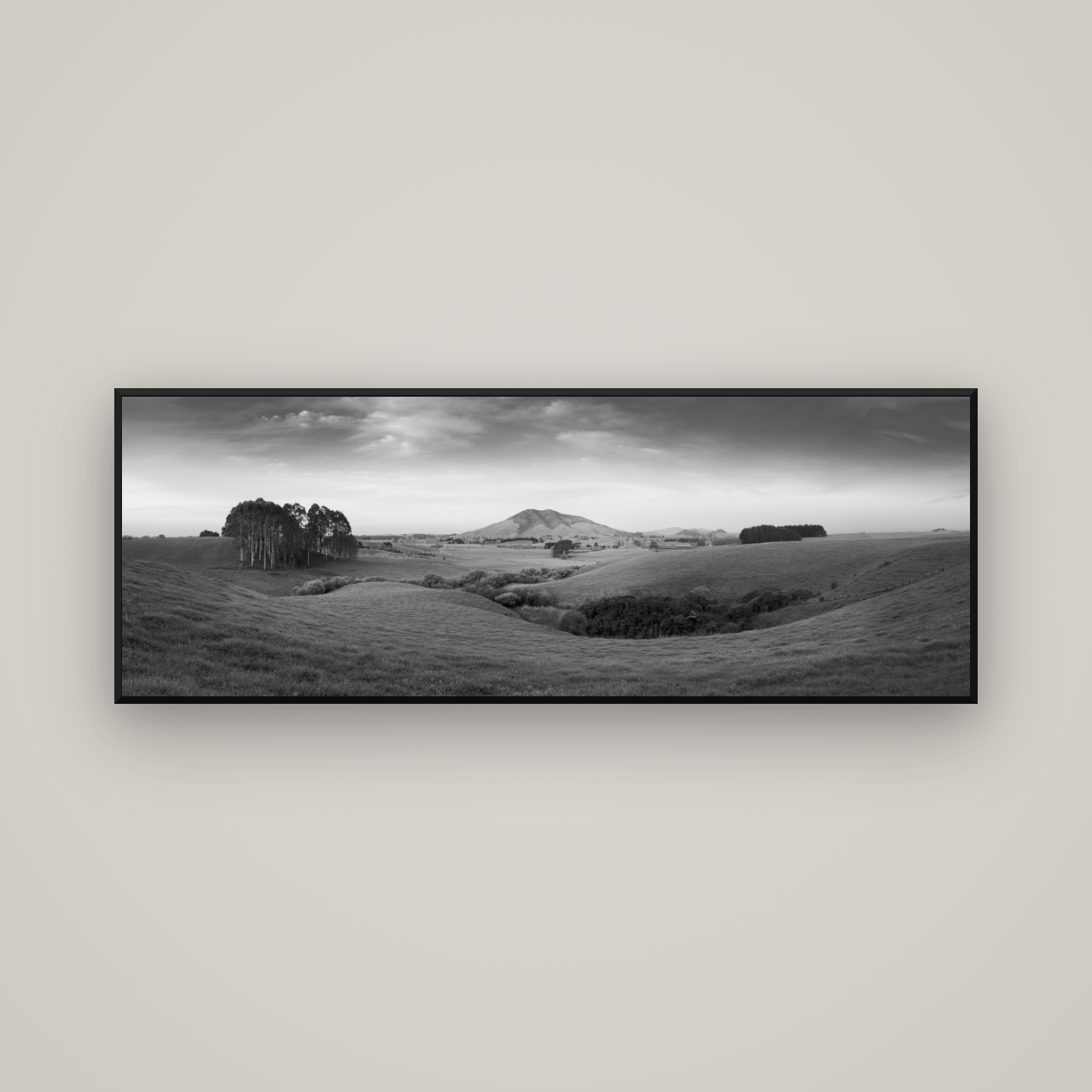 Evening Fields, Mount Kakepuku — Basel Black Matte, 170×60 cm. New Zealand fine art wall art by Stephen Milner.