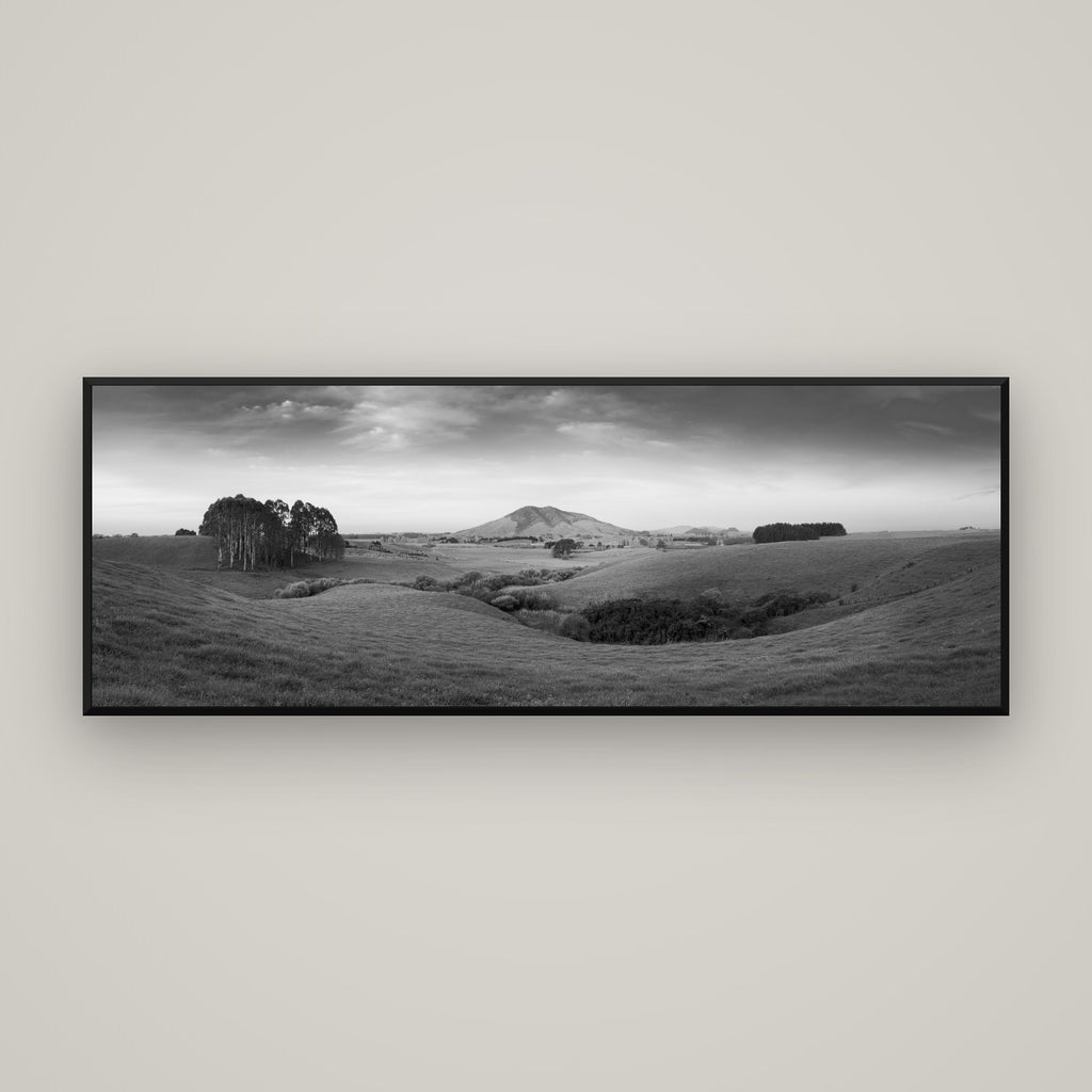 Evening Fields, Mount Kakepuku — Basel Black Matte, 170×60 cm. New Zealand fine art wall art by Stephen Milner.