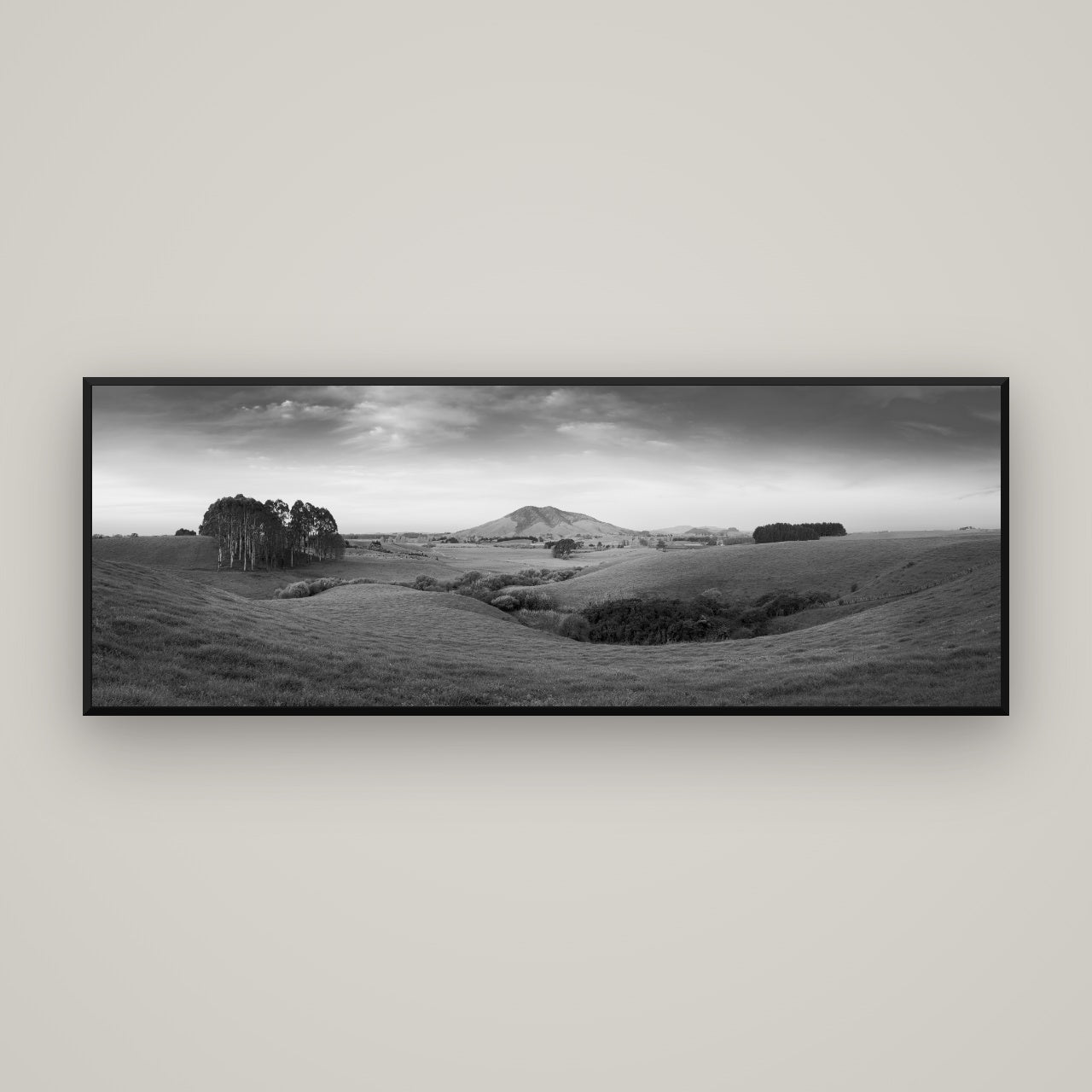 Evening Fields, Mount Kakepuku — Basel Black, 170×60 cm. New Zealand fine art wall art by Stephen Milner.