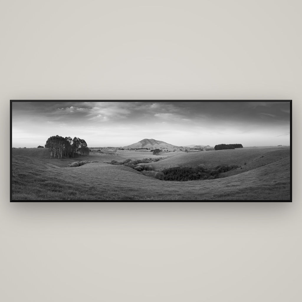 Evening Fields, Mount Kakepuku — Basel Black Matte, 198×70 cm. New Zealand fine art wall art by Stephen Milner.