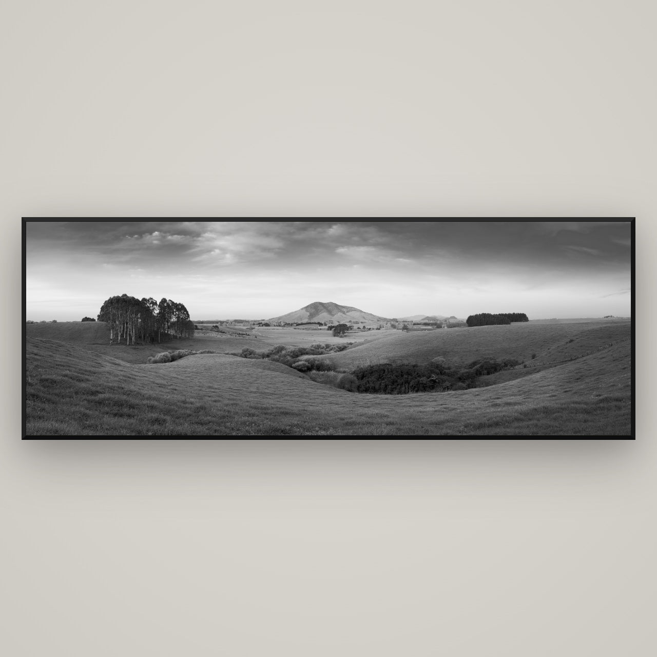 Evening Fields, Mount Kakepuku — Basel Black, 198×70 cm. New Zealand fine art wall art by Stephen Milner.