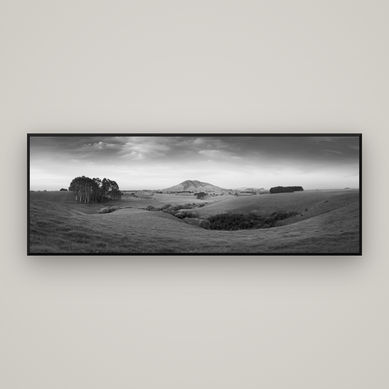 Evening Fields, Mount Kakepuku — Basel Black Matte, 198×70 cm. New Zealand fine art wall art by Stephen Milner.