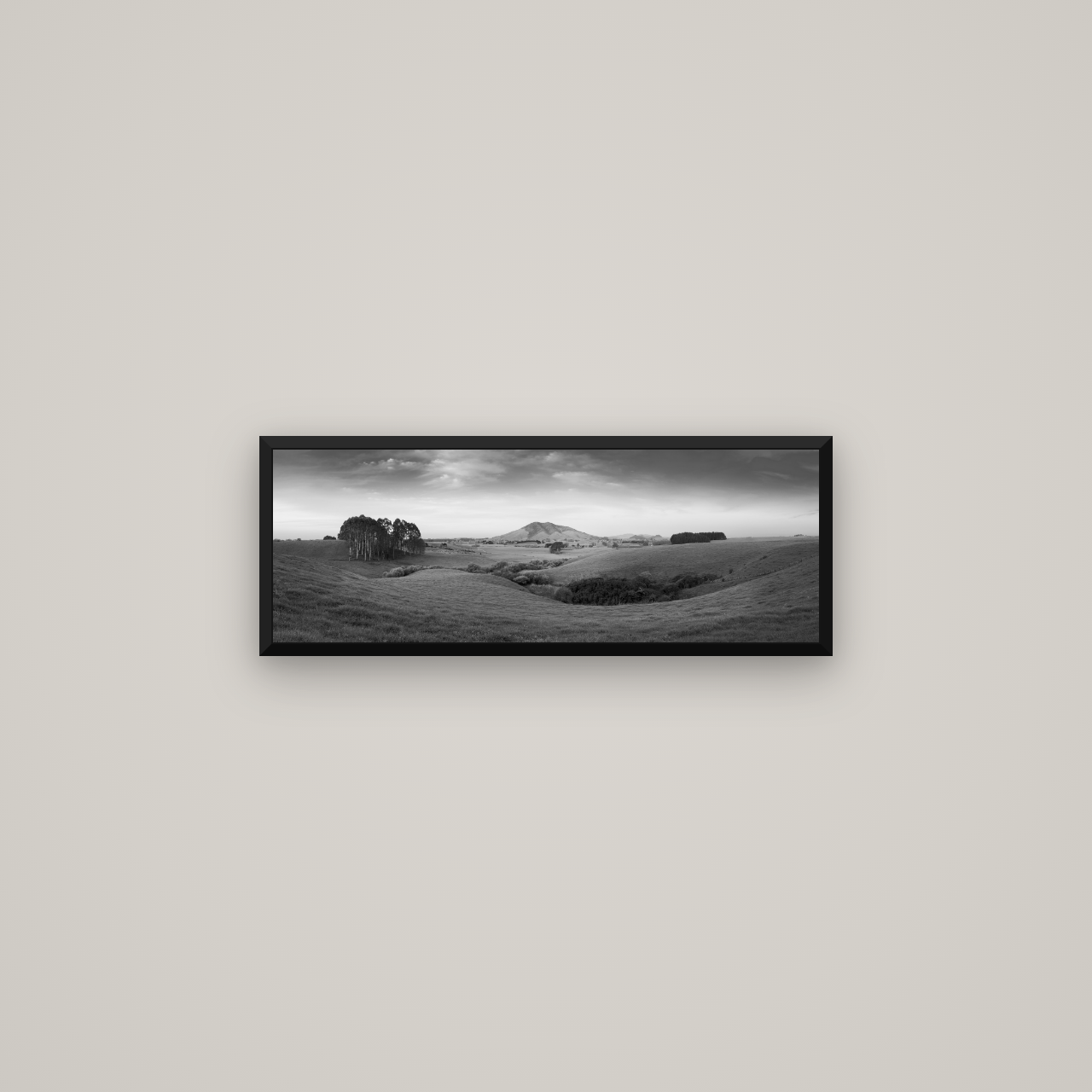 Evening Fields, Mount Kakepuku — Basel Black Matte, 68×24 cm. New Zealand fine art wall art by Stephen Milner.