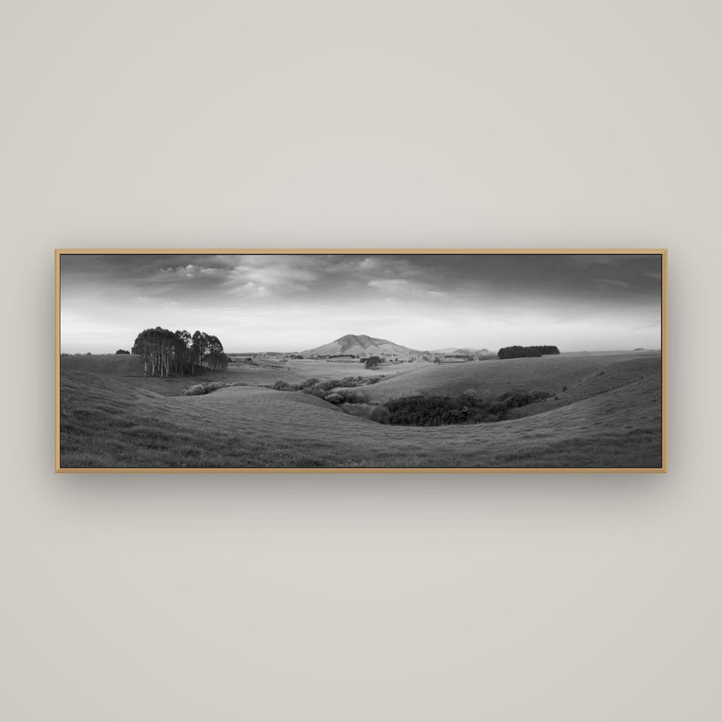 Evening Fields, Mount Kakepuku, Basel Natural Oak, 170×60 cm. New Zealand fine art wall art by Stephen Milner.