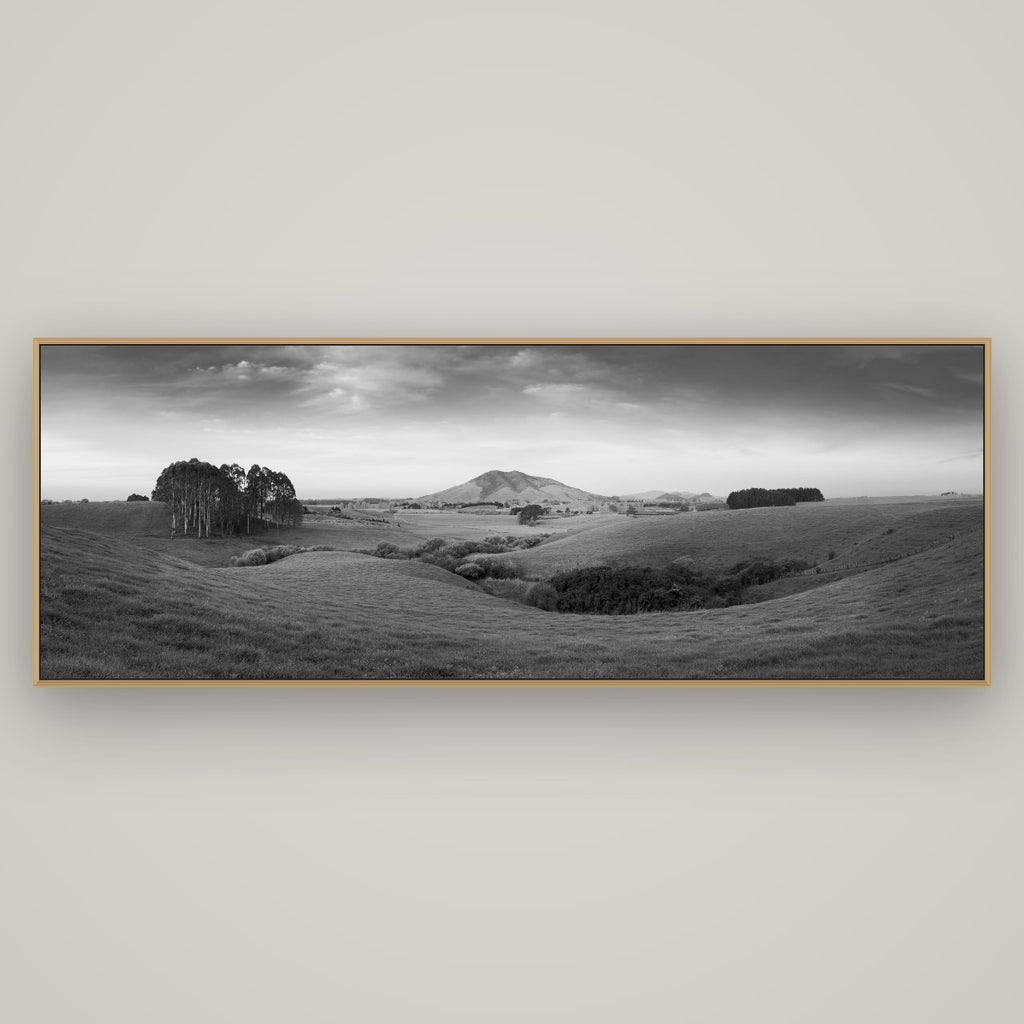 Evening Fields, Mount Kakepuku, Basel Natural Oak, 198×70 cm. New Zealand fine art wall art by Stephen Milner.