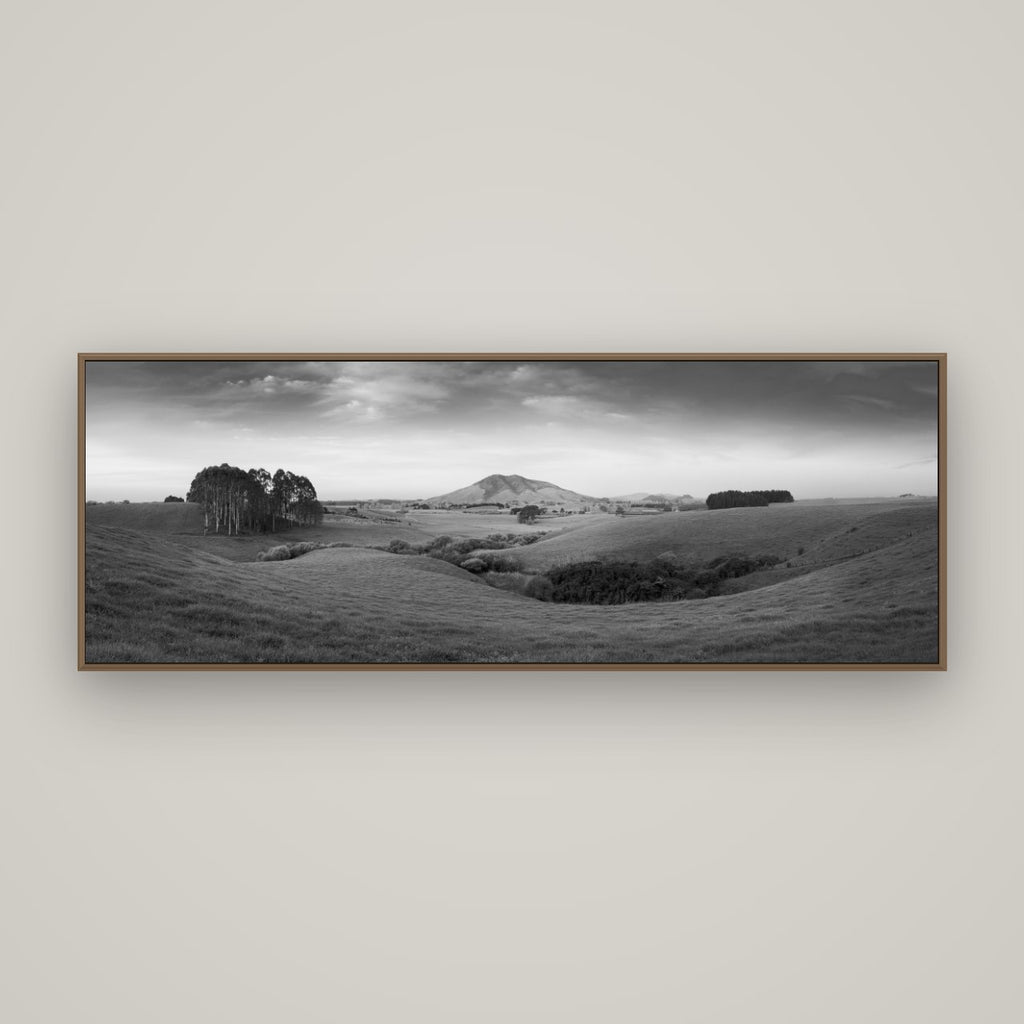 Evening Fields, Mount Kakepuku, Basel Walnut, 170×60 cm. New Zealand fine art wall art by Stephen Milner.