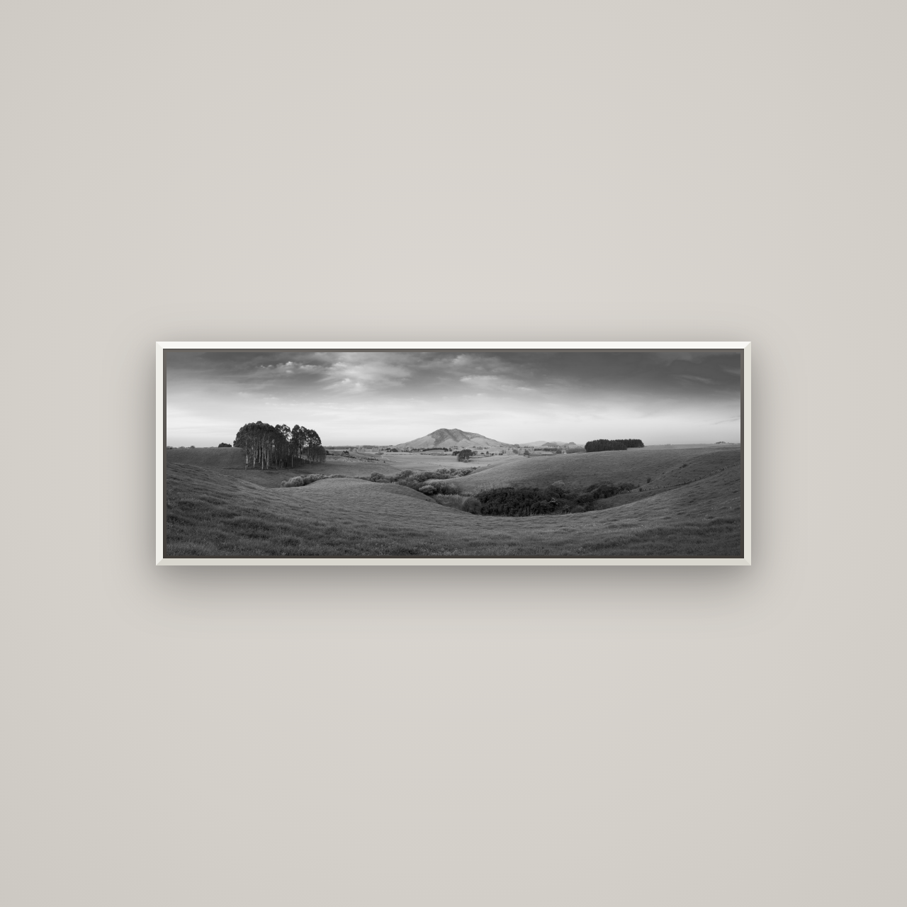 Evening Fields, Mount Kakepuku — Basel White, 113×40 cm. New Zealand fine art wall art by Stephen Milner.