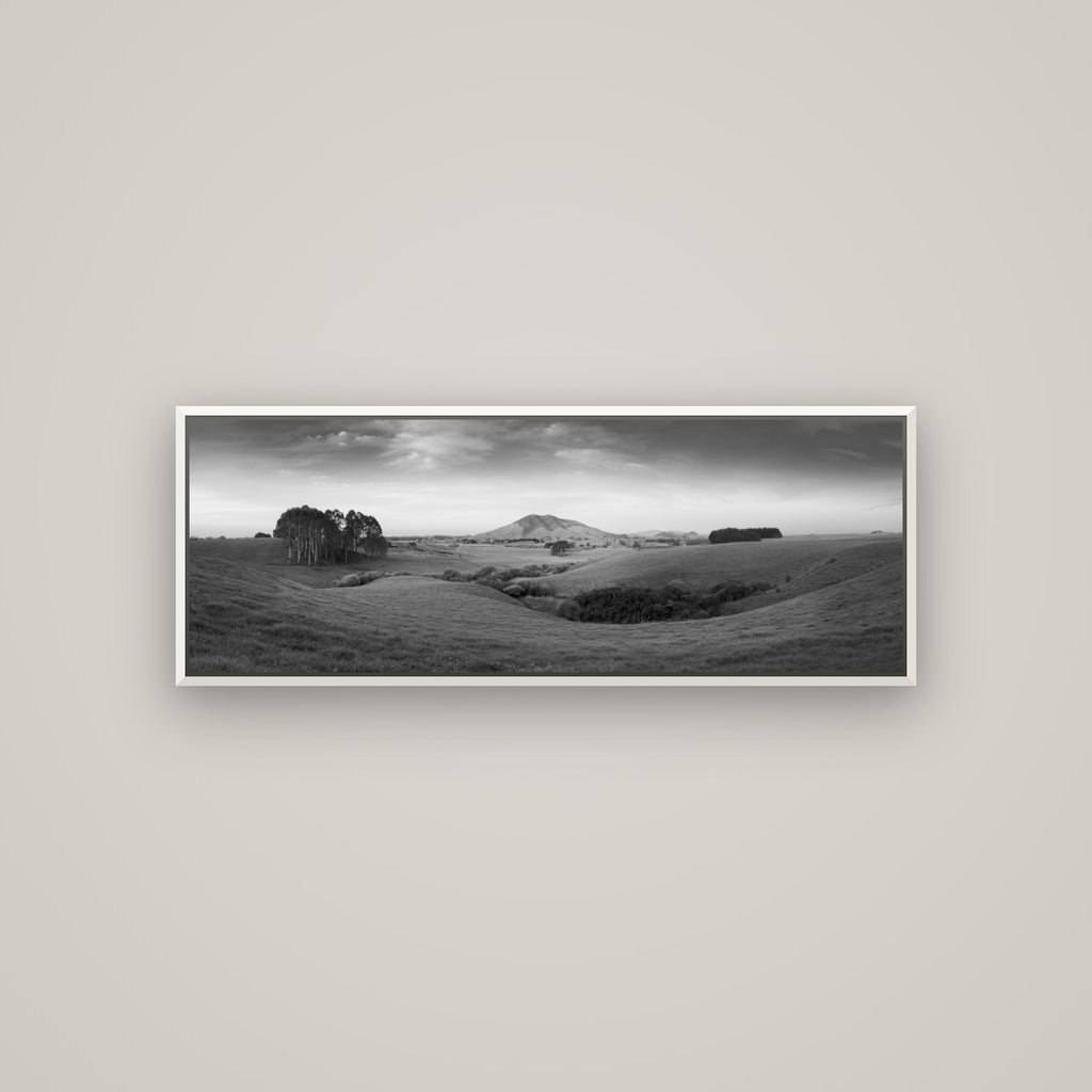 Evening Fields, Mount Kakepuku — Basel White, 113×40 cm. New Zealand fine art wall art by Stephen Milner.